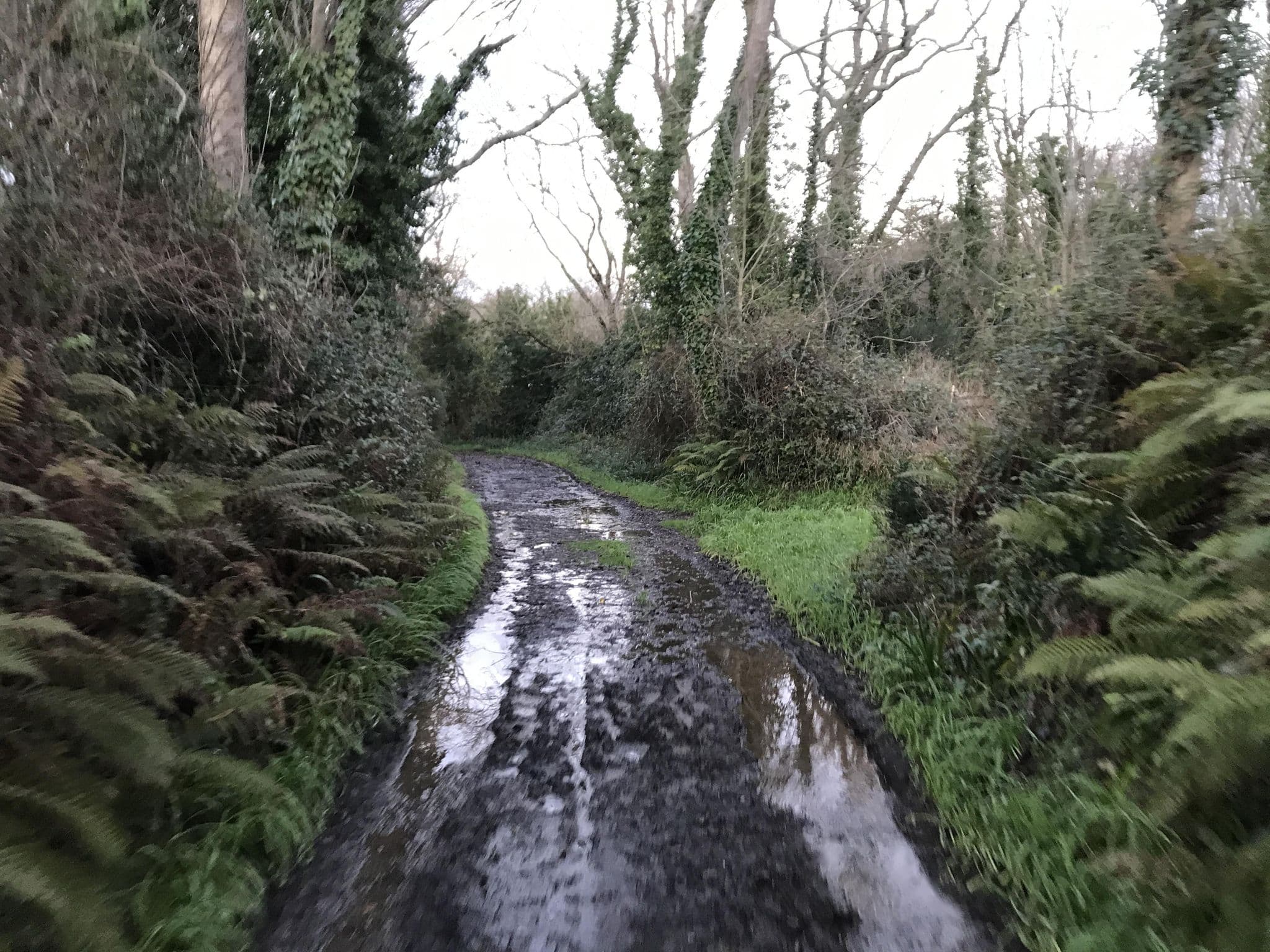 Street view near Camping de Gouelet Ker, Logonna-Daoulas — © josmougn (CC BY-SA · Mapillary)