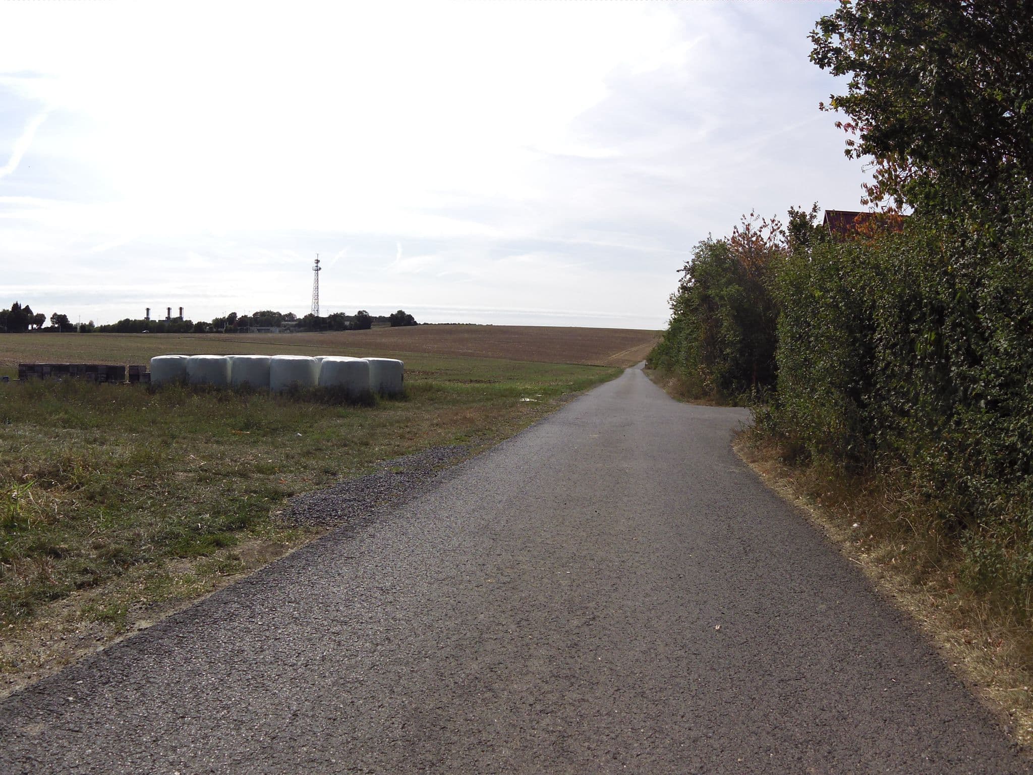 Street view near TIERHOTEL Konrad GmbH, Rimpar — © zoegglmeyr (CC BY-SA · Mapillary)
