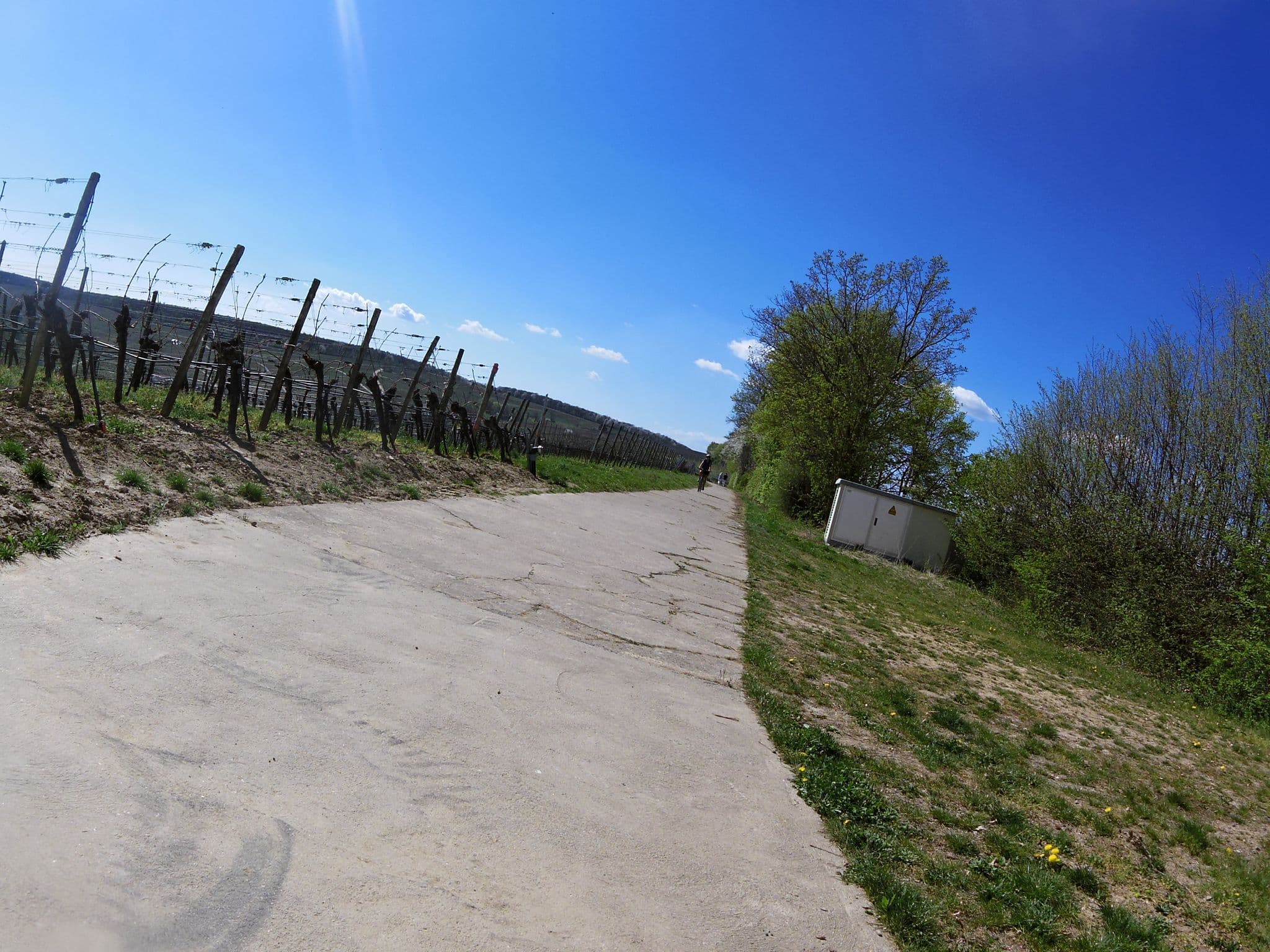 Street view near Vogelsburg - Einkehren, Besinnen, Genießen, Volkach — © zoegglmeyr (CC BY-SA · Mapillary)