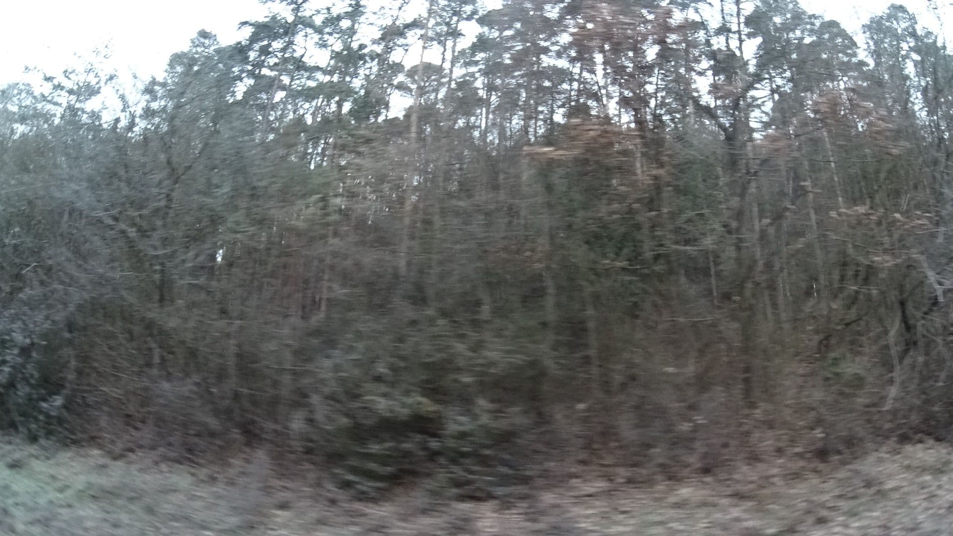 Street view near Schloss Leuzendorf, Haus vis à vis, Burgpreppach — © ramap (CC BY-SA · Mapillary)