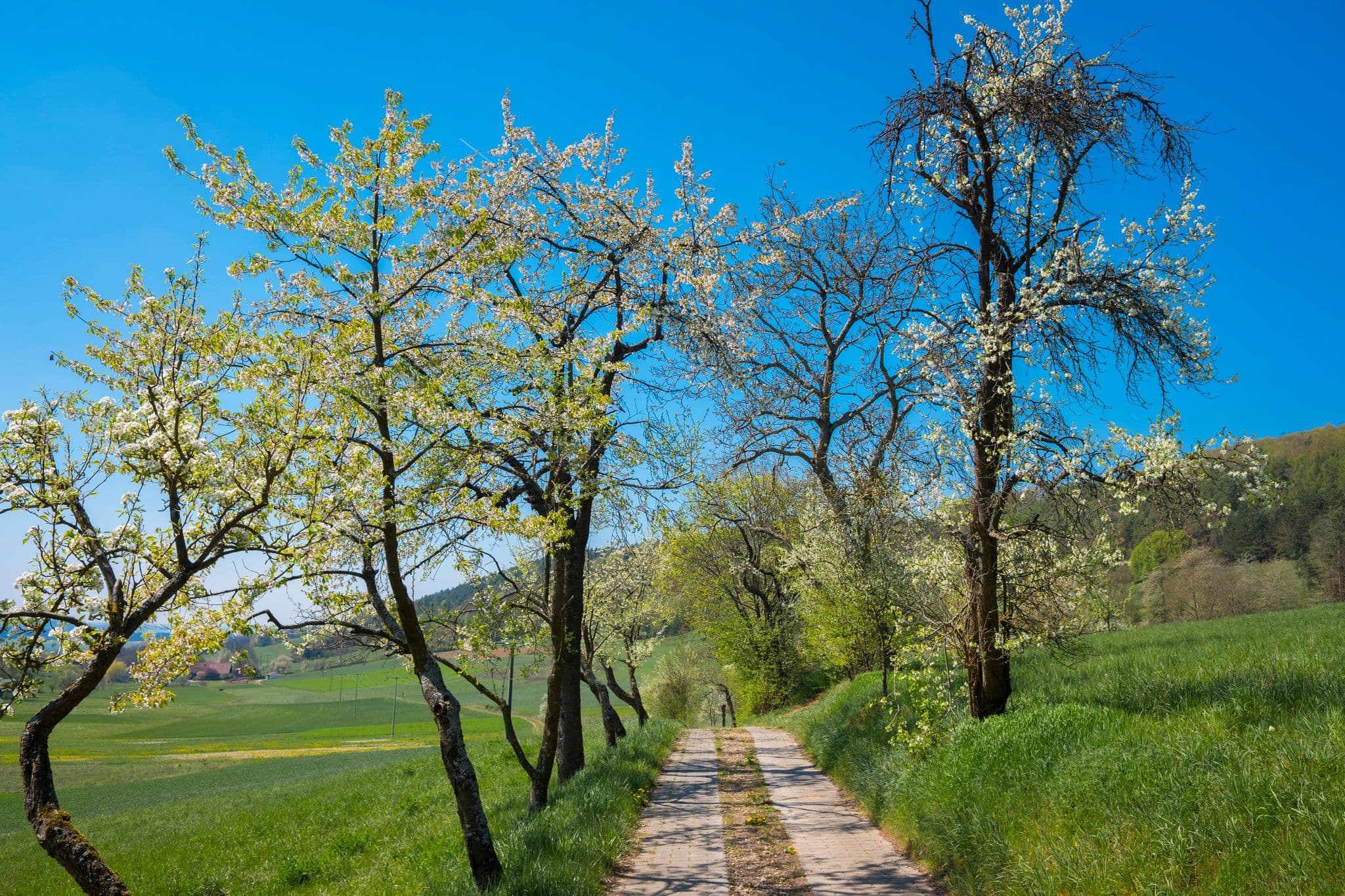 Street view near Ferienwohnung Lore, Ebensfeld — © svhelden (CC BY-SA · Mapillary)