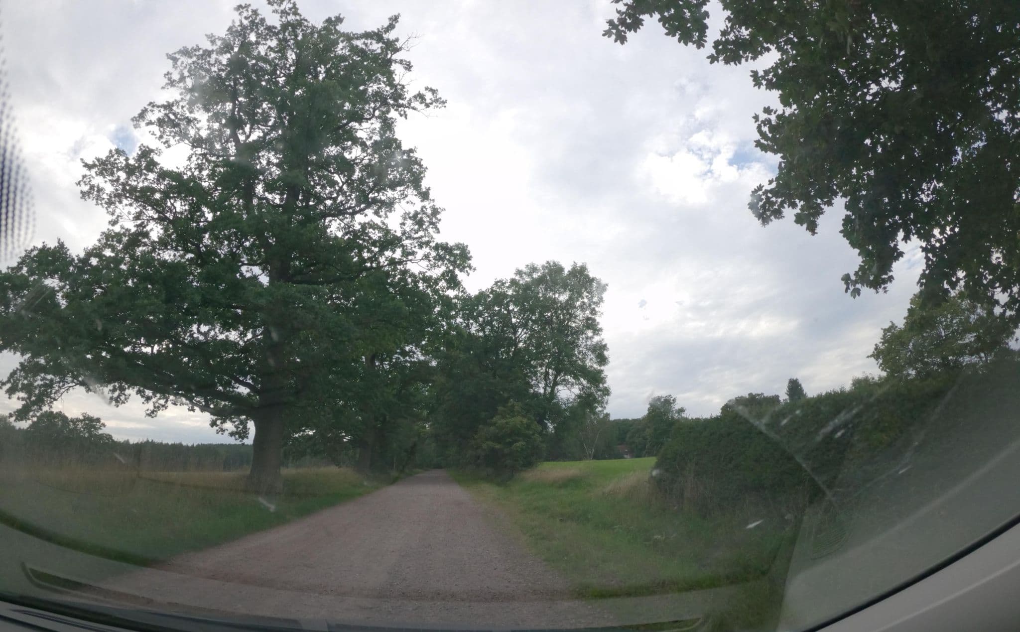 Street view near Hotel Spießberghaus, Finsterbergen — © atze02 (CC BY-SA · Mapillary)