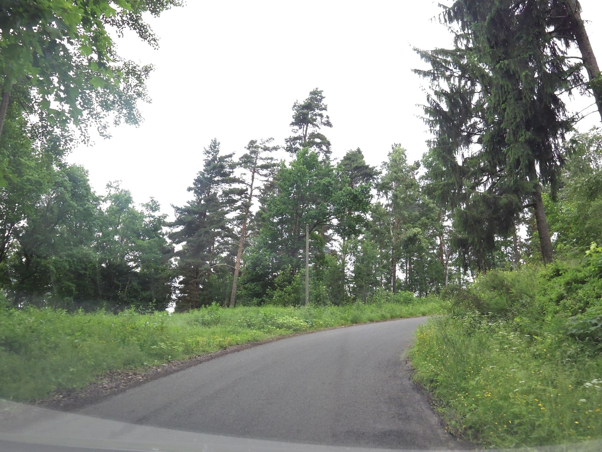 Street view near Urlaubspark Grimmenstein, Tabarz — © zoegglmeyr (CC BY-SA · Mapillary)