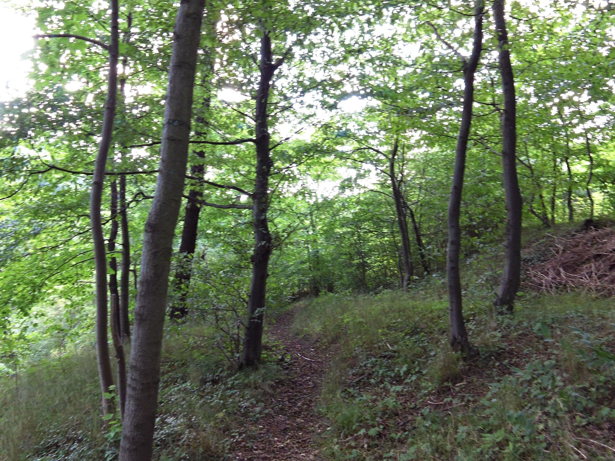 Street view near Hainstein GmbH, Eisenach — © zoegglmeyr (CC BY-SA · Mapillary)
