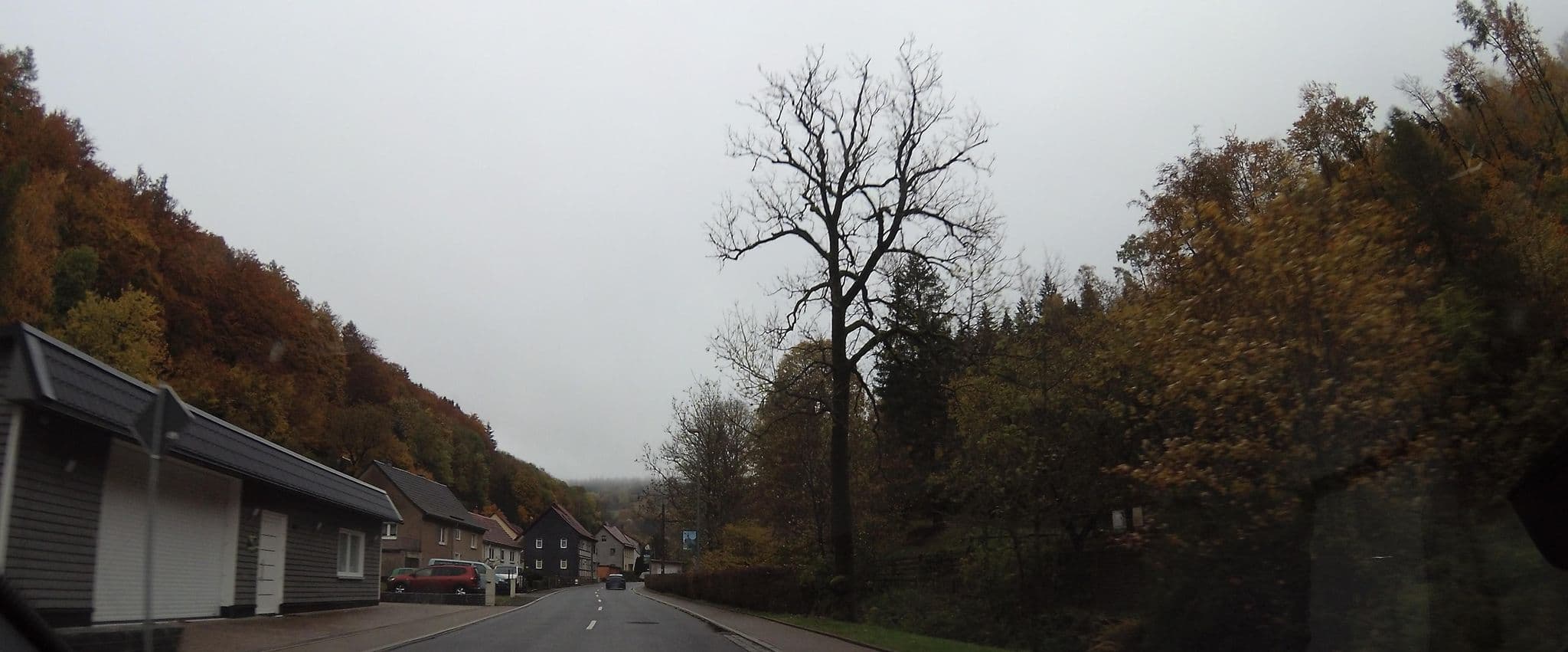 Street view near Haus Rennsteig, Steinbach-Hallenberg — © teddy73 (CC BY-SA · Mapillary)