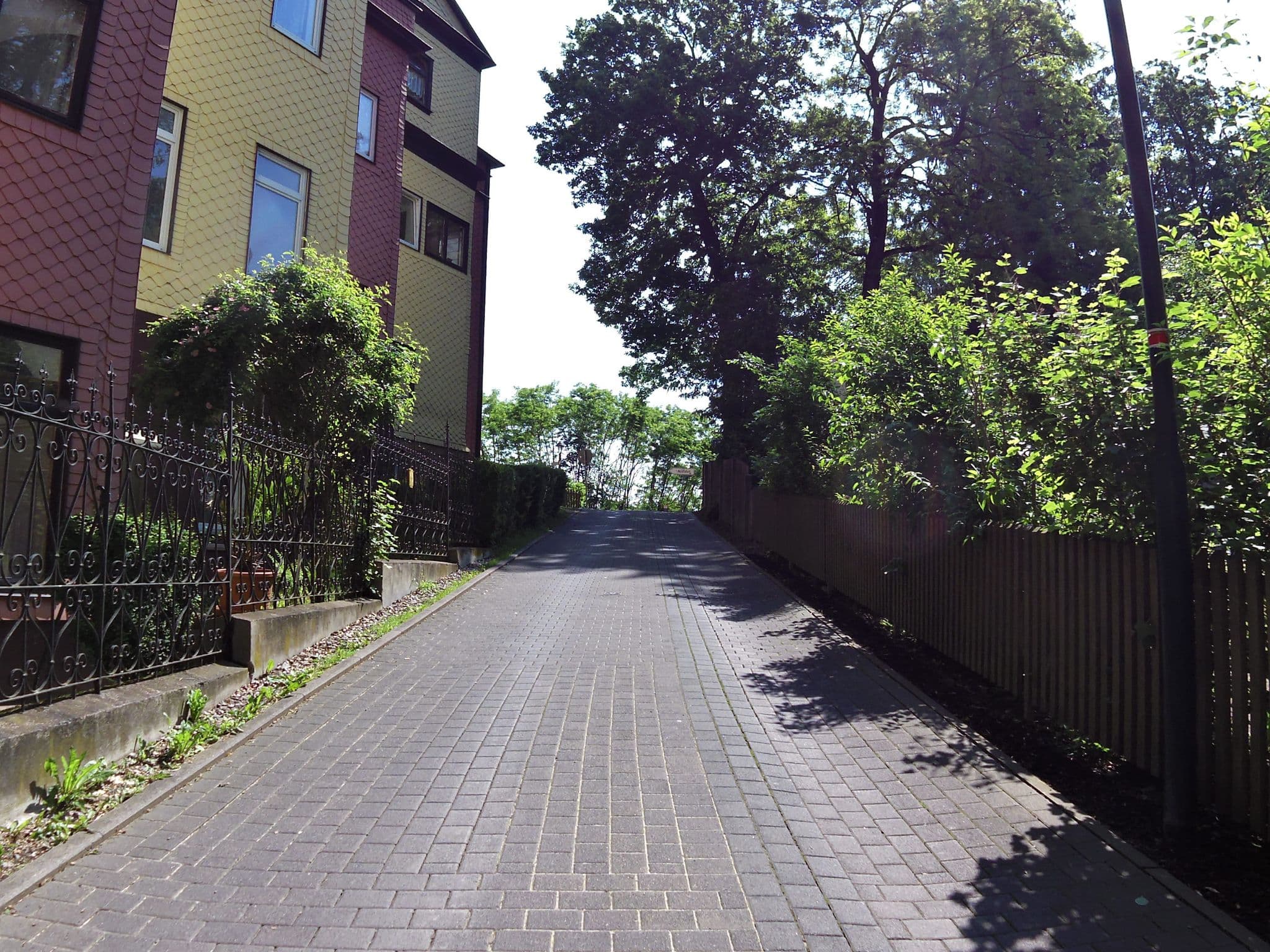 Street view near Haus Reinhardsberg, Friedrichroda — © zoegglmeyr (CC BY-SA · Mapillary)