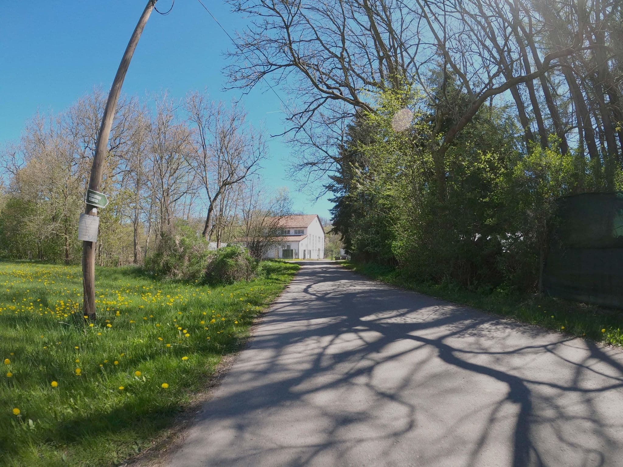 Street view near Freizeitheim Dörnfeld, Behringen — © 741852963 (CC BY-SA · Mapillary)