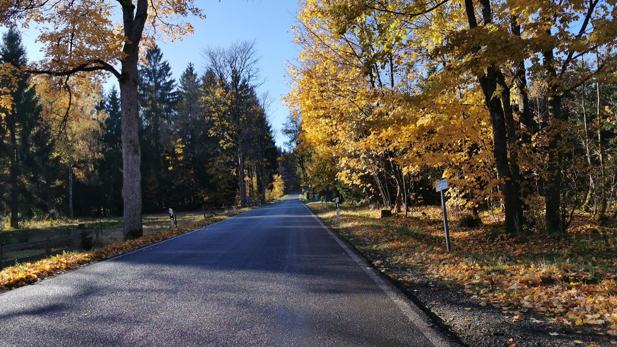 Street view near Landgasthaus Heinrichsort, Wurzbach — © lehestener (CC BY-SA · Mapillary)