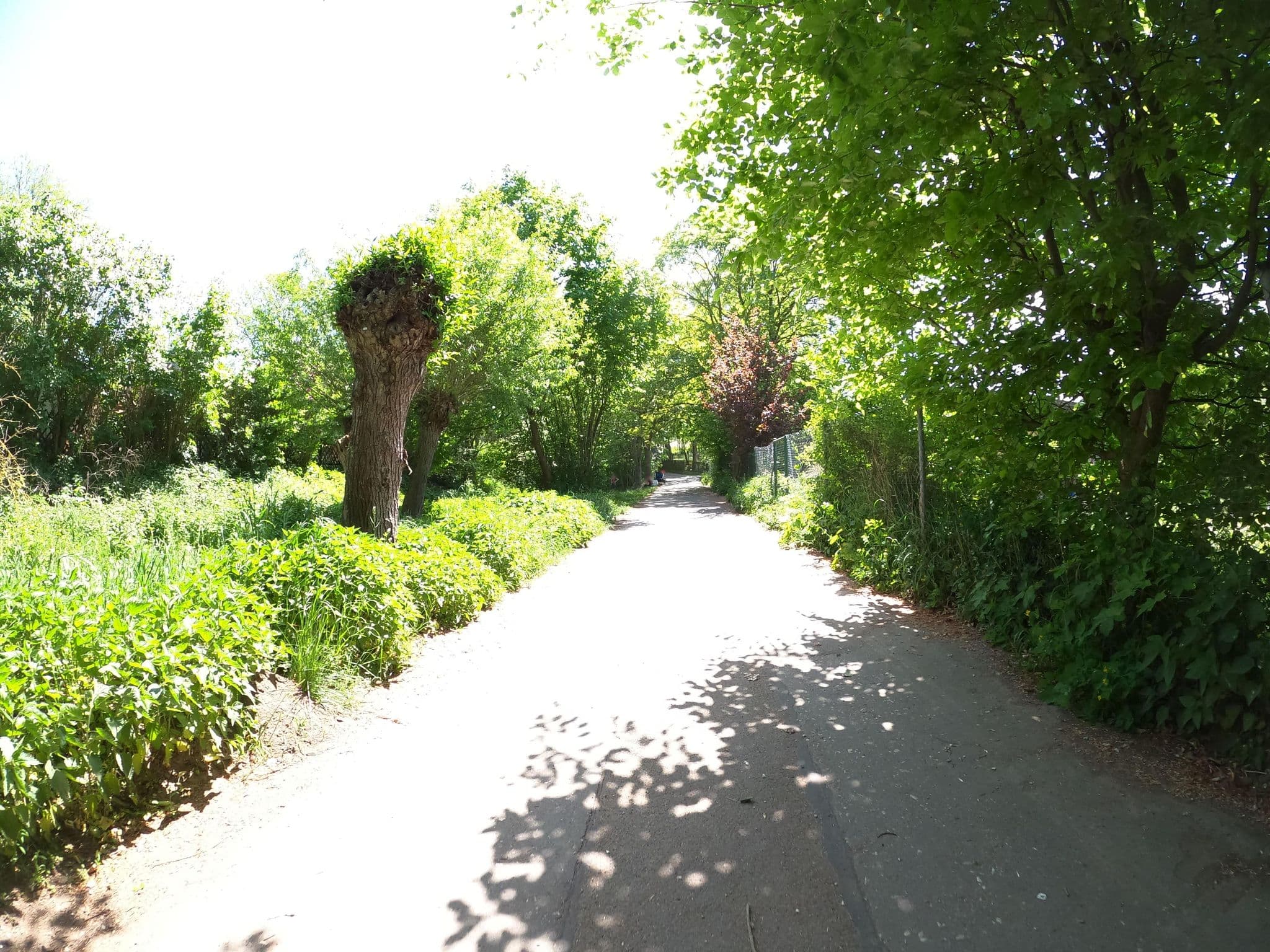 Street view near Airstream Hotel, Jena — © 741852963 (CC BY-SA · Mapillary)