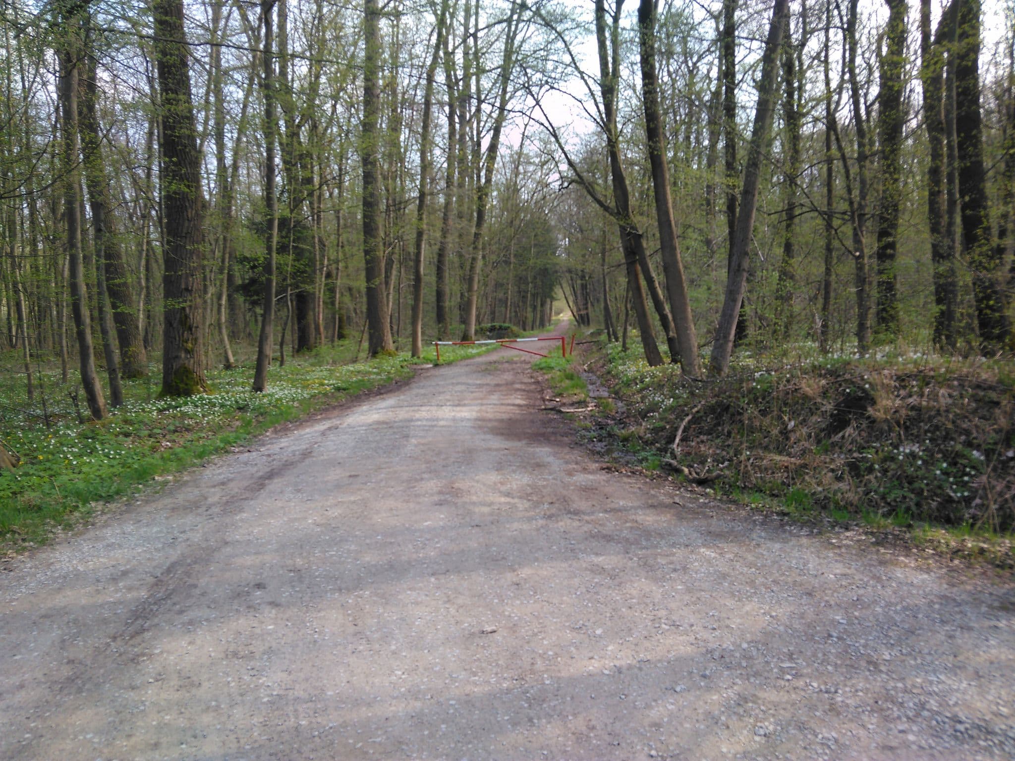 Street view near Jugendgästehaus Am Ettersberg, Kromsdorf — © mknight (CC BY-SA · Mapillary)