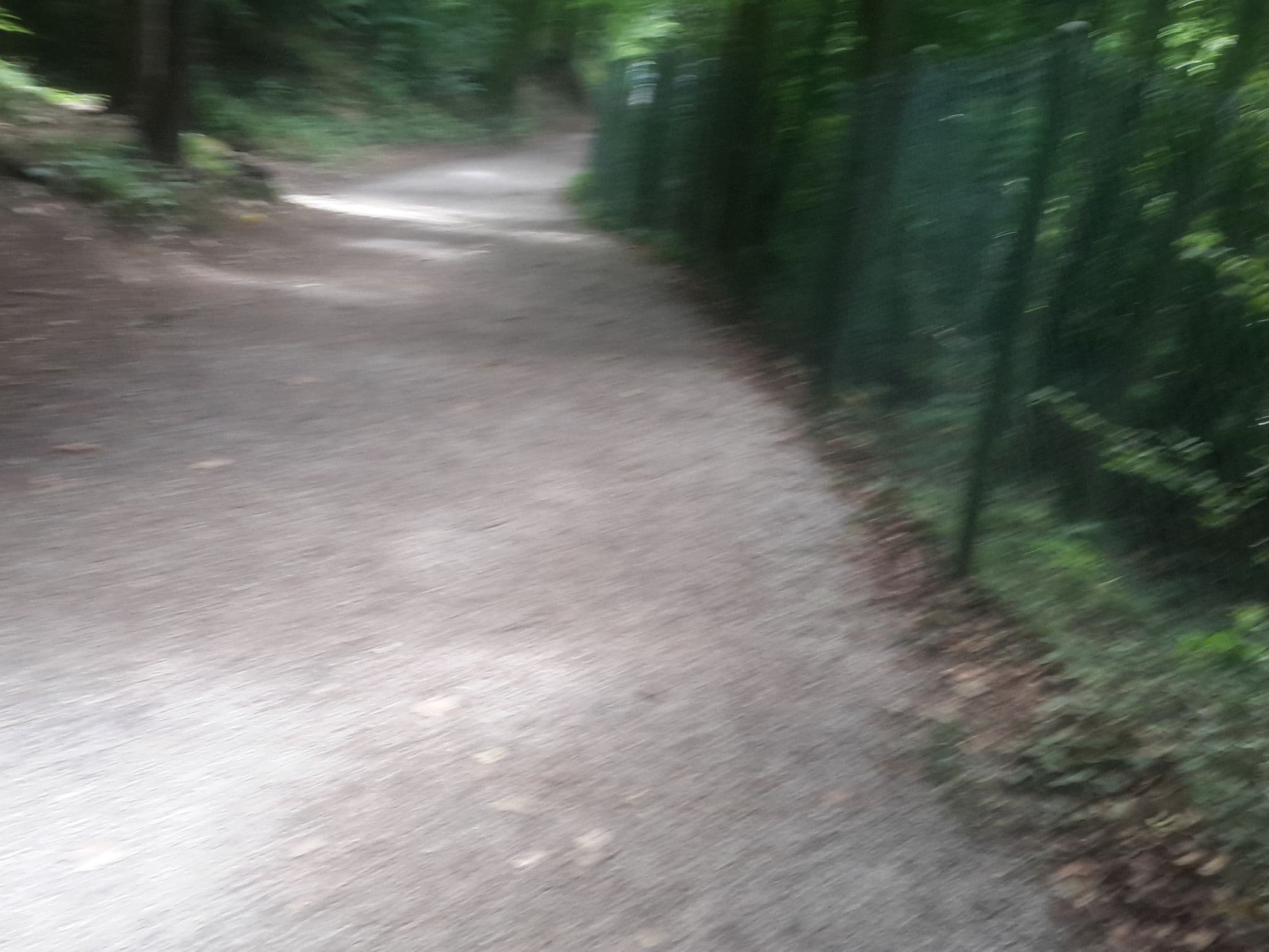 Street view near Trojerhof, Kiefersfelden — © yopaseopor (CC BY-SA · Mapillary)