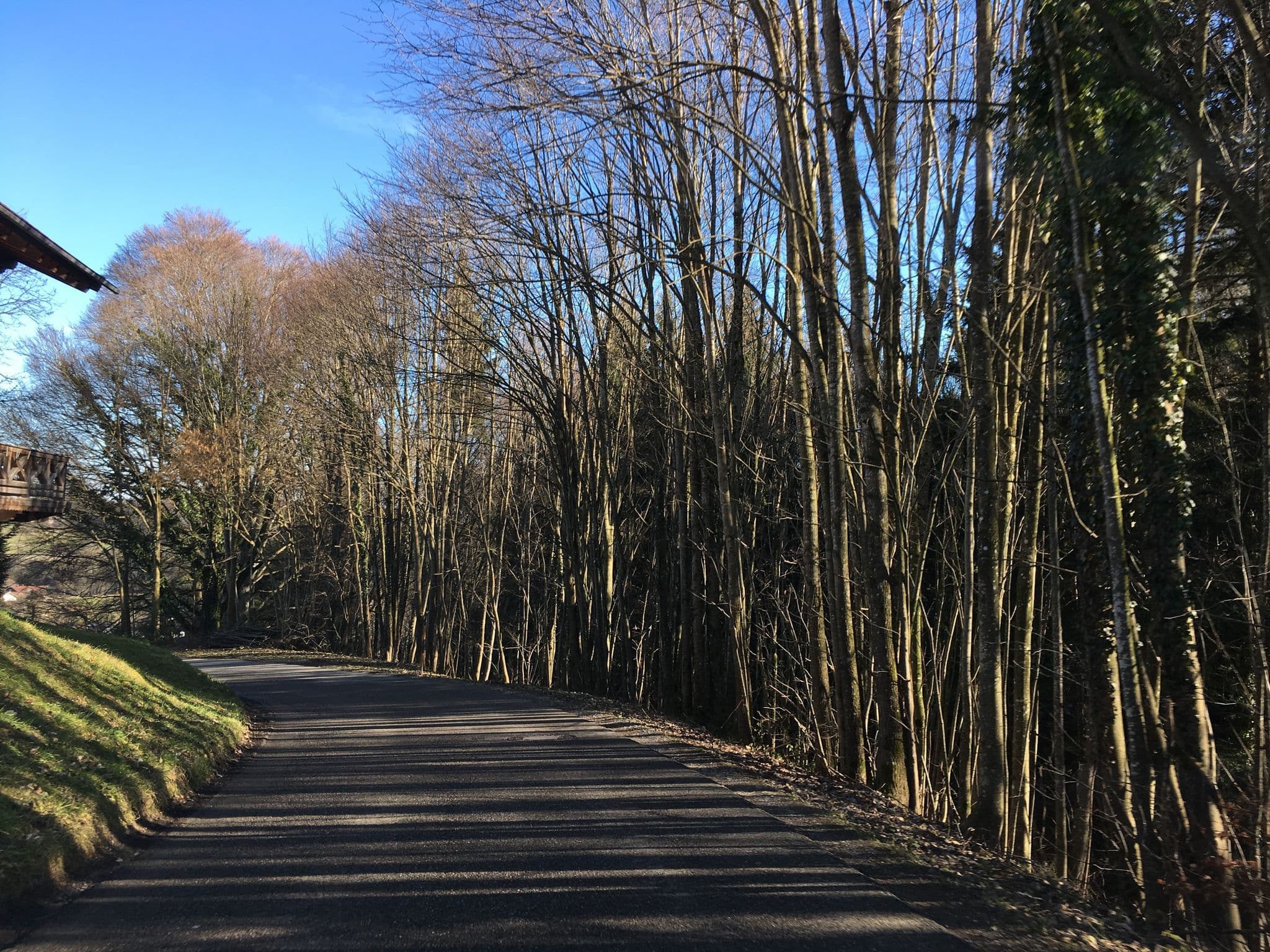 Street view near Taffenreutherhof, Samerberg — © maleo (CC BY-SA · Mapillary)