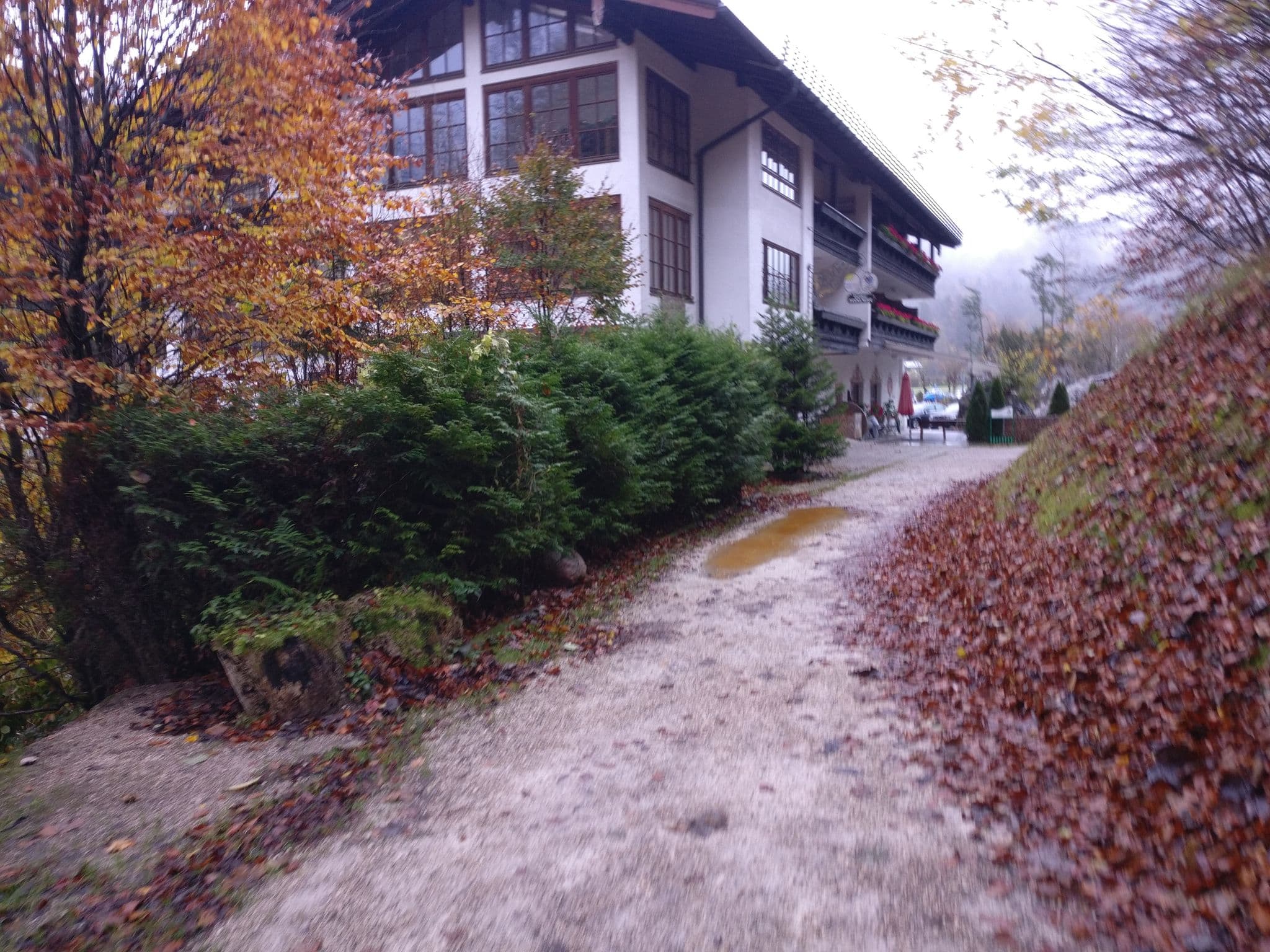 Street view near Hotel Konegssee Hof, Schönau am Königssee — © aceini (CC BY-SA · Mapillary)