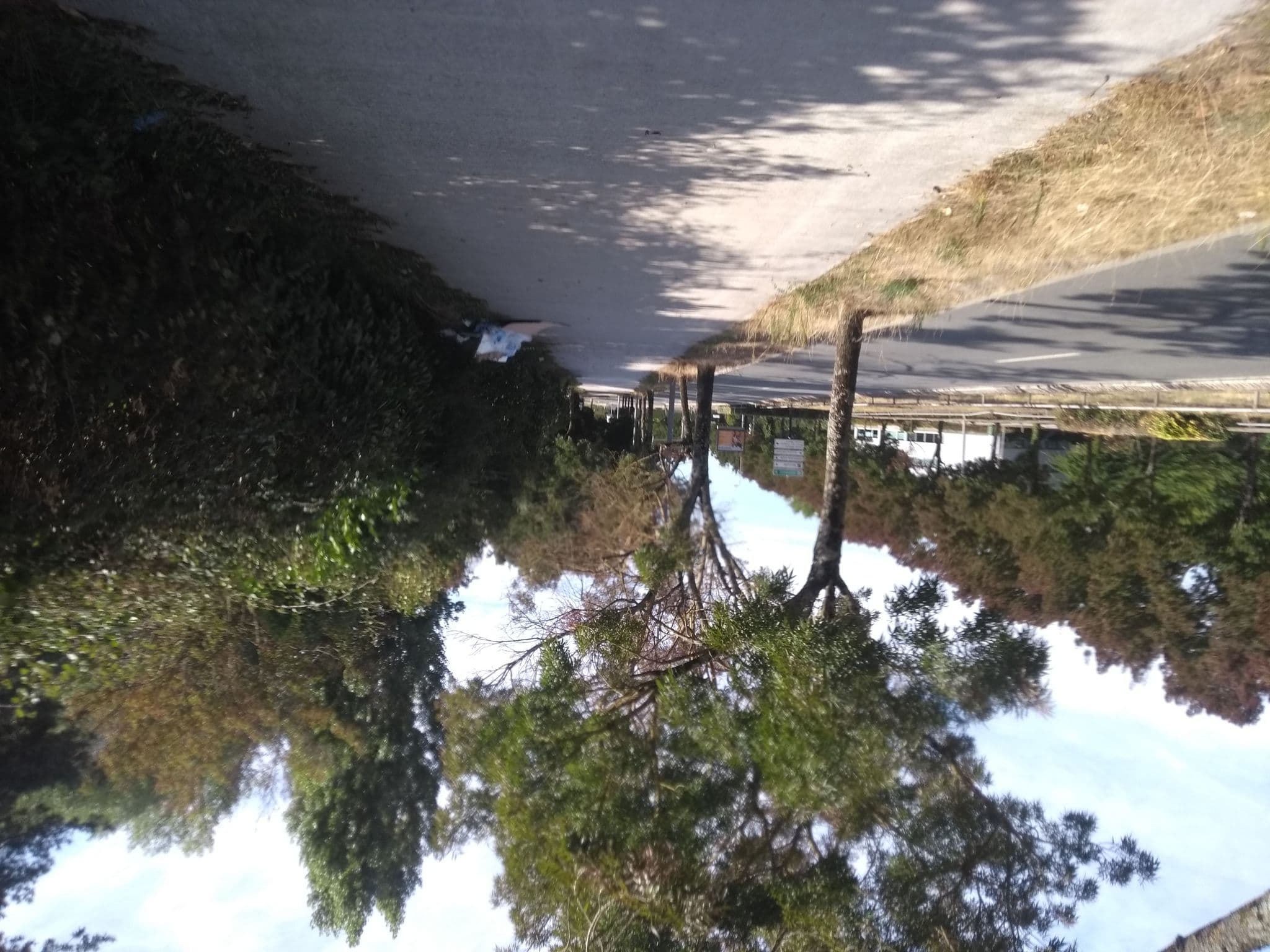 Street view near Campanile Bordeaux Lac, Lormont — © gitouche (CC BY-SA · Mapillary)