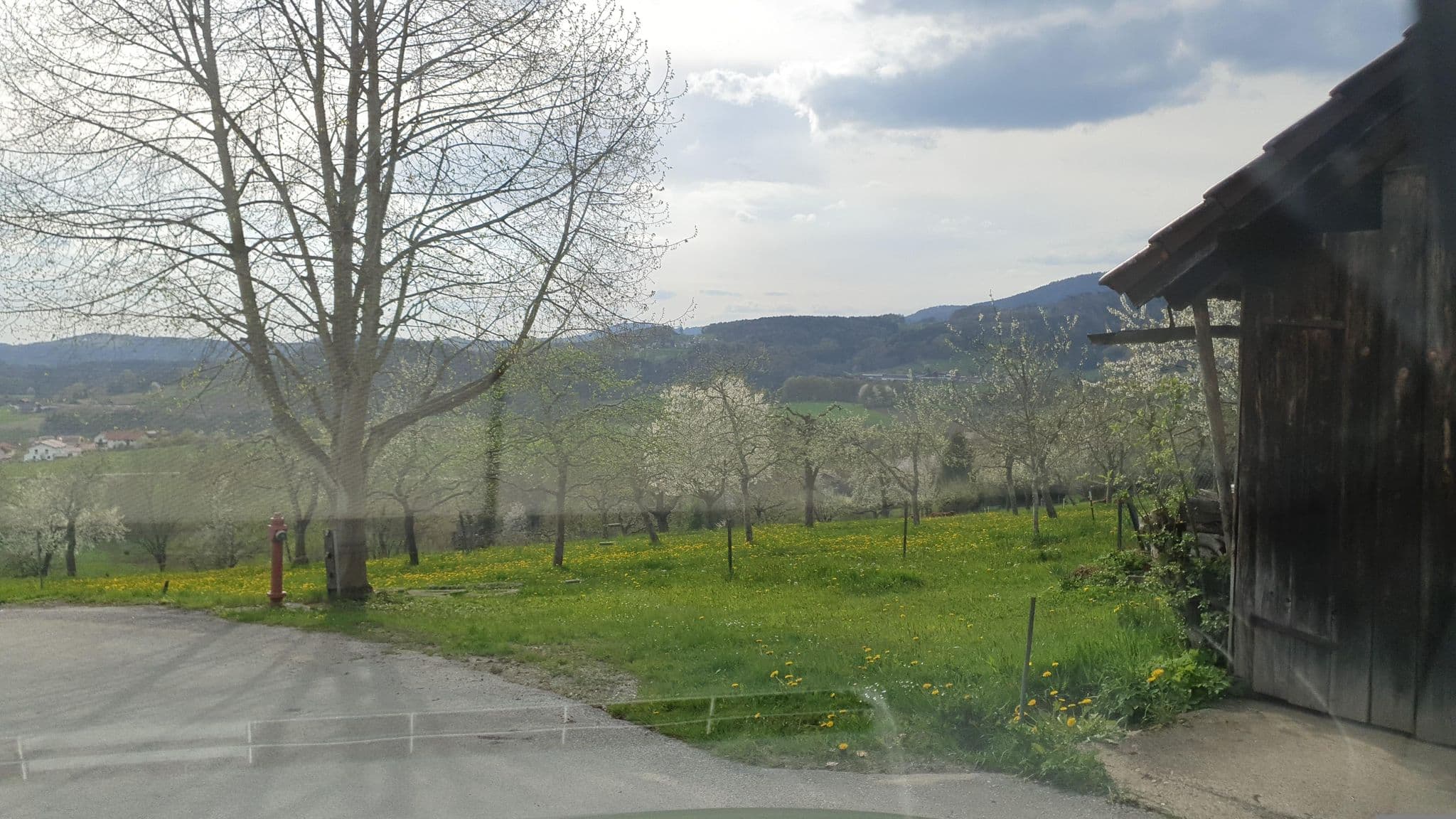 Street view near Ferienhof Fernblick, Lalling — © Kluex (CC BY-SA · Mapillary)
