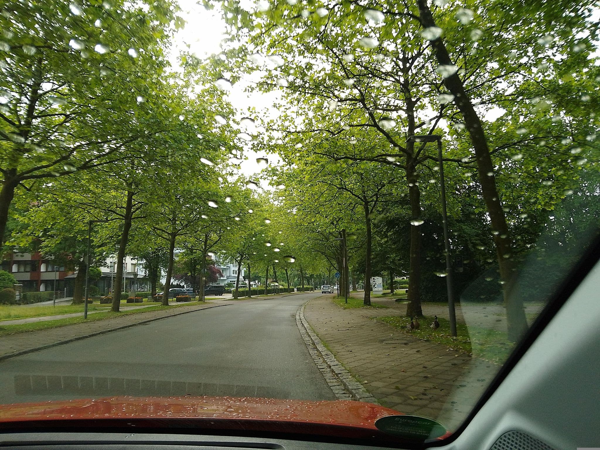 Street view near Dein FRANZ Franz Josef Ortner, Bad Füssing — © calile (CC BY-SA · Mapillary)