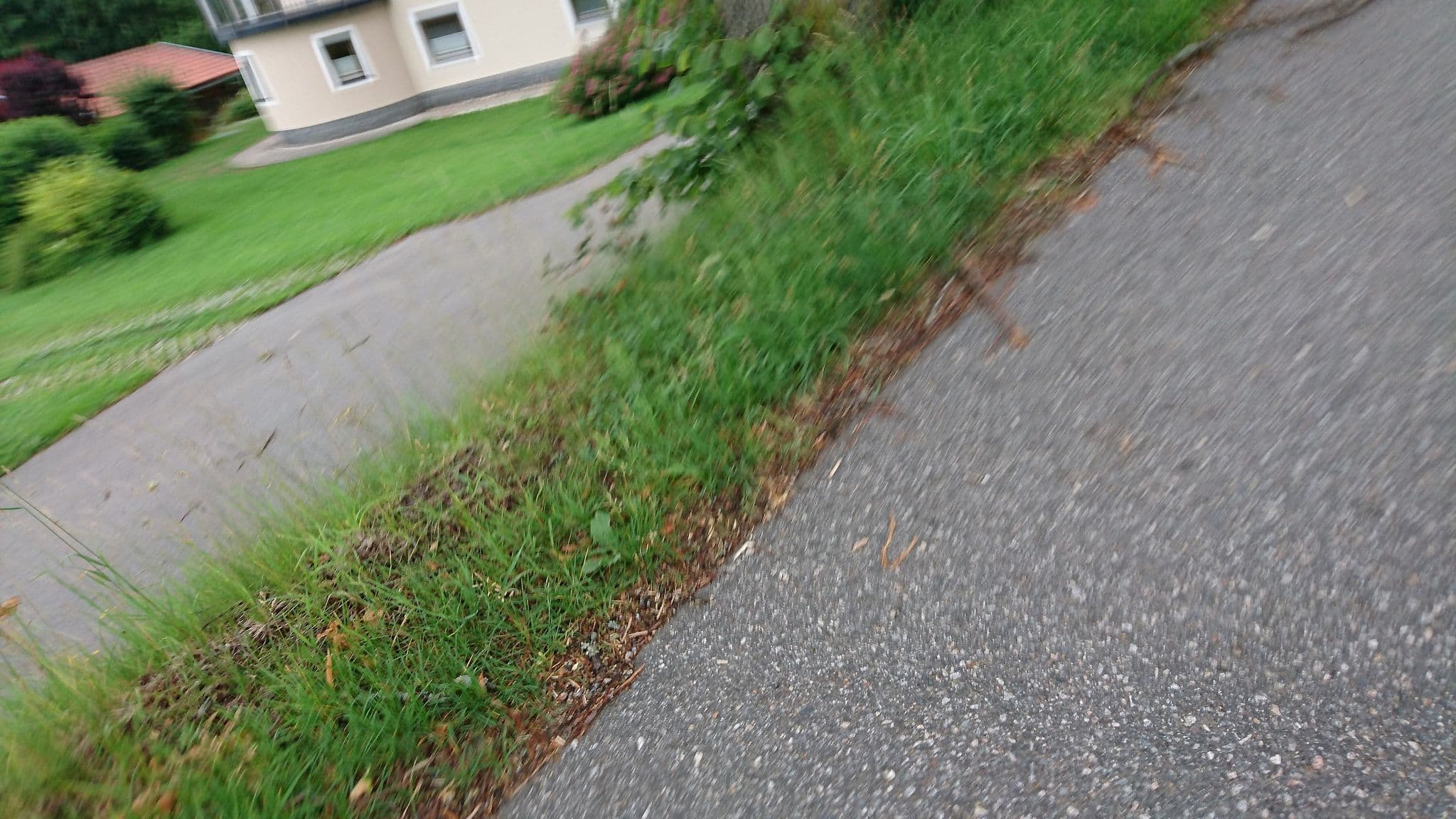 Street view near Naturhotel Euler Neuschönau, Neuschönau — © msdess (CC BY-SA · Mapillary)