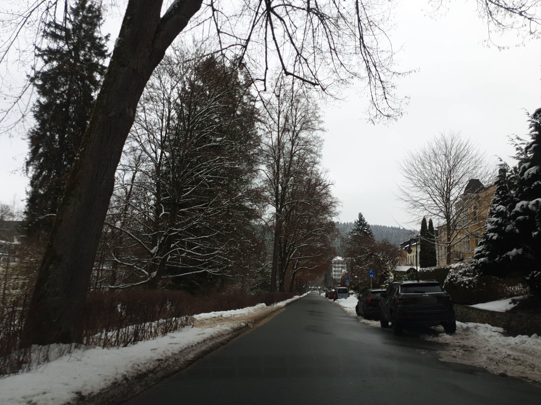 Street view near Hotel Pension Vesta Bad Elster, Bad Elster — © canislupus (CC BY-SA · Mapillary)