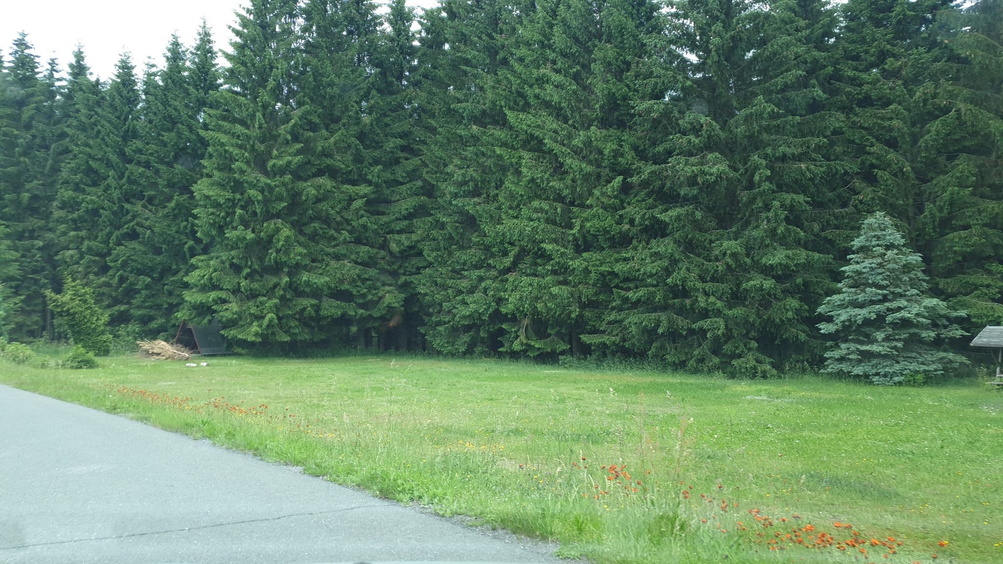 Street view near Kinder- und Familienferienzentrum, Tannenbergsthal — © canislupus (CC BY-SA · Mapillary)