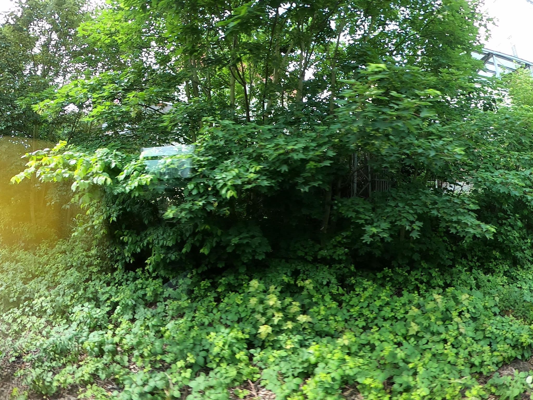 Street view near Apartment-Hotel Rackwitz, Markkleeberg — © aceini (CC BY-SA · Mapillary)
