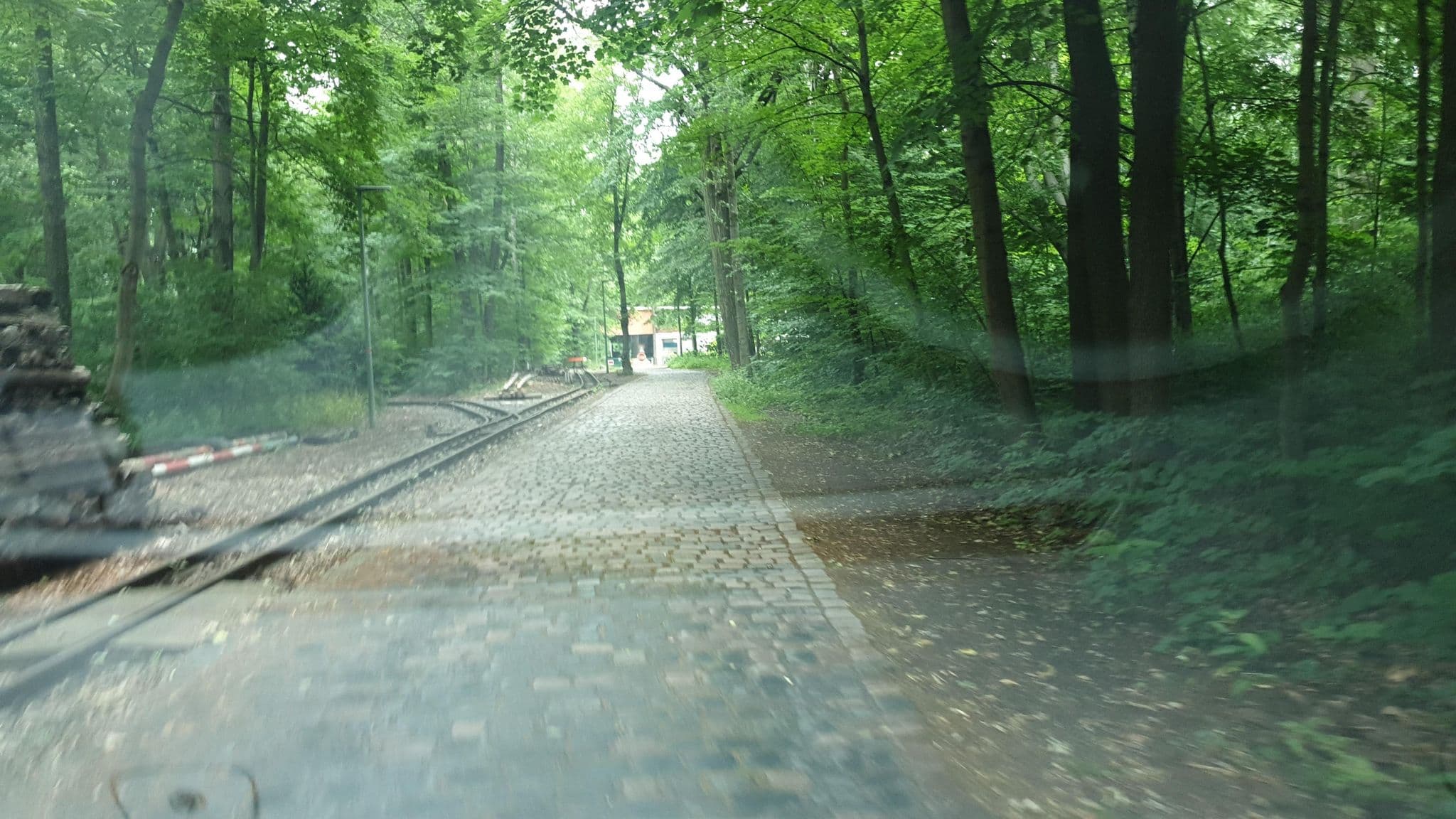 Street view near Schullandheim, Chemnitz — © canislupus (CC BY-SA · Mapillary)