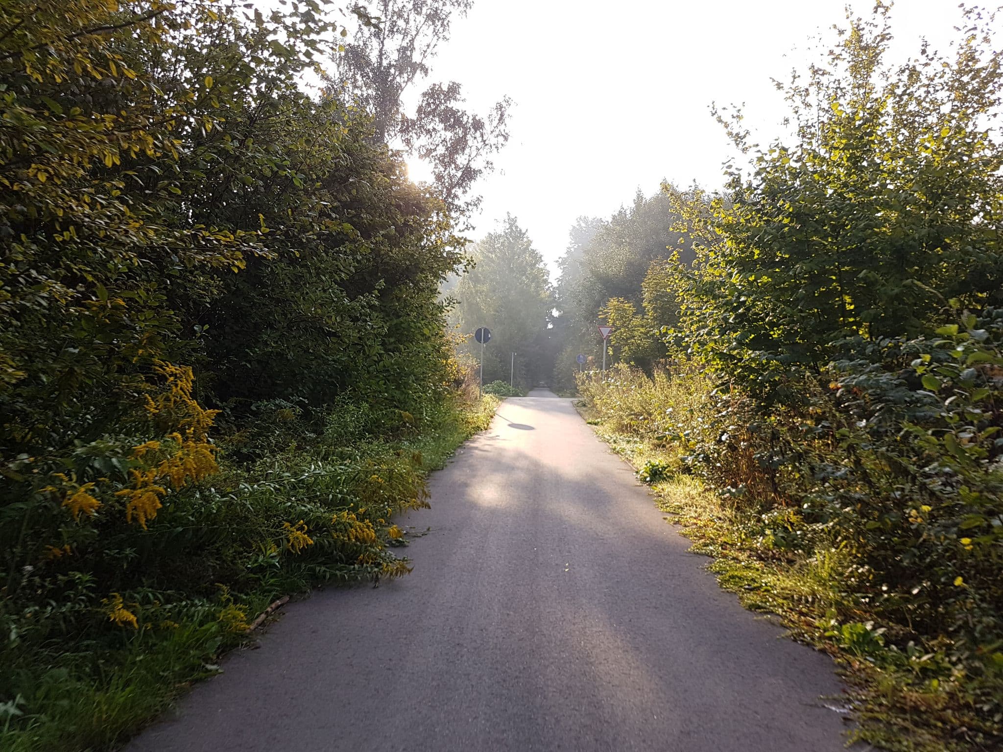 Street view near Alpakas im Chemnitztal, Claußnitz — © mappi (CC BY-SA · Mapillary)