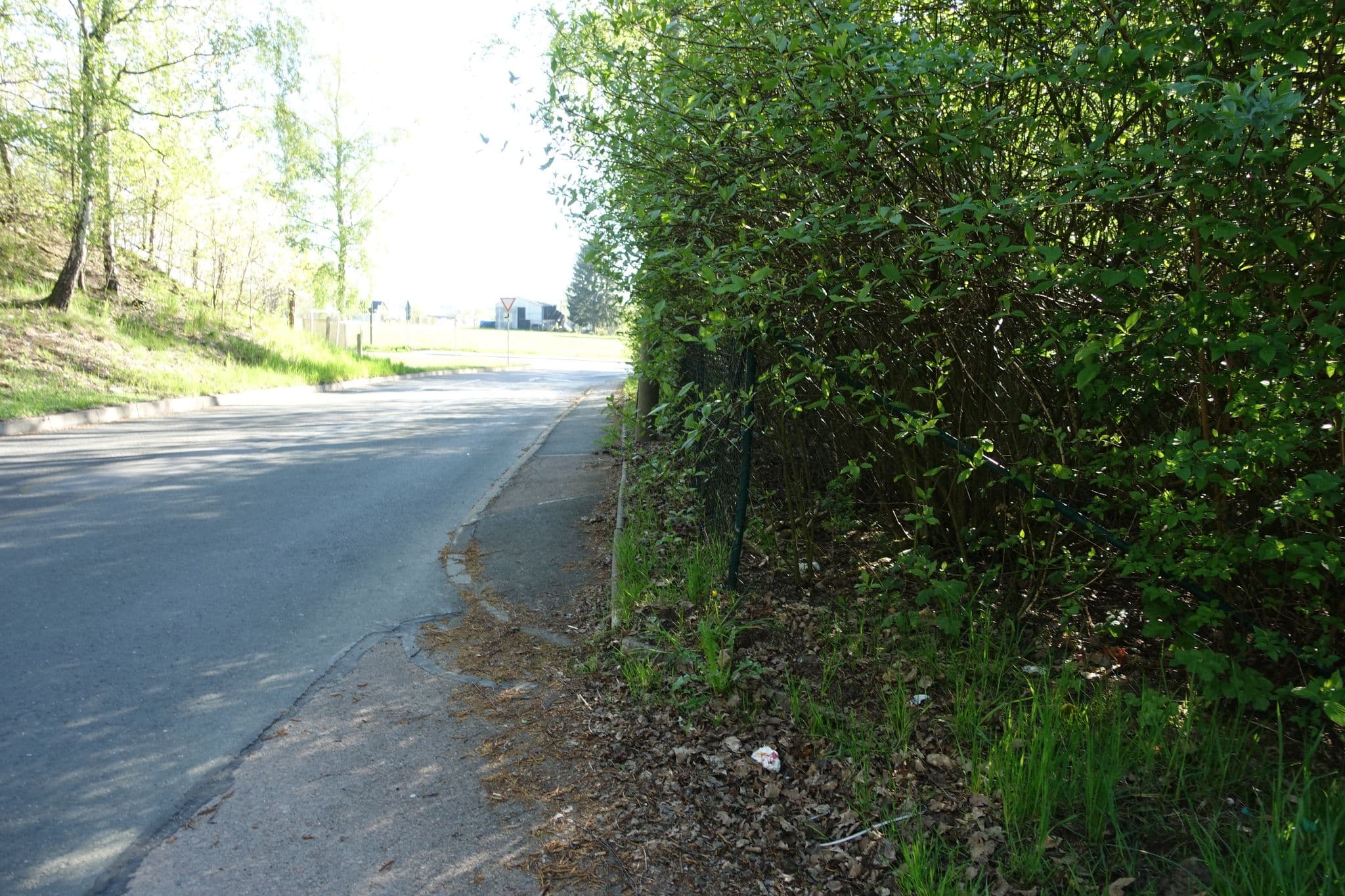 Street view near Villa Eddi & Emmi, Freiberg — © malenki (CC BY-SA · Mapillary)