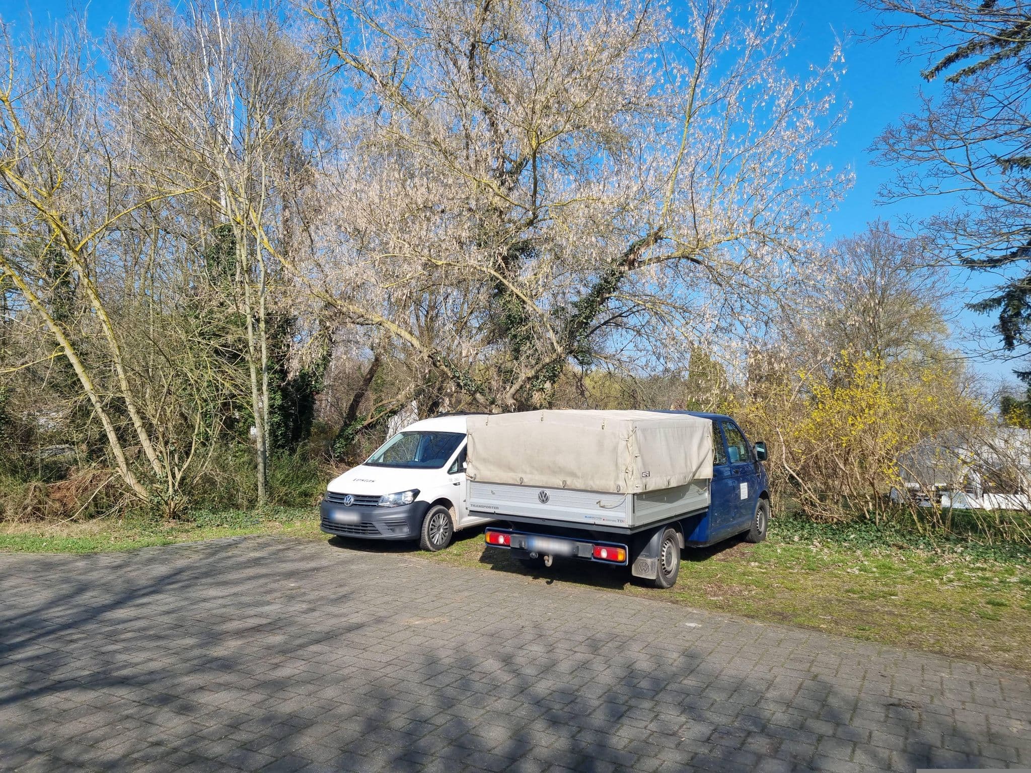 Street view near Parkschlößchen Maasdorf, Bad Liebenwerda — © dsmm (CC BY-SA · Mapillary)