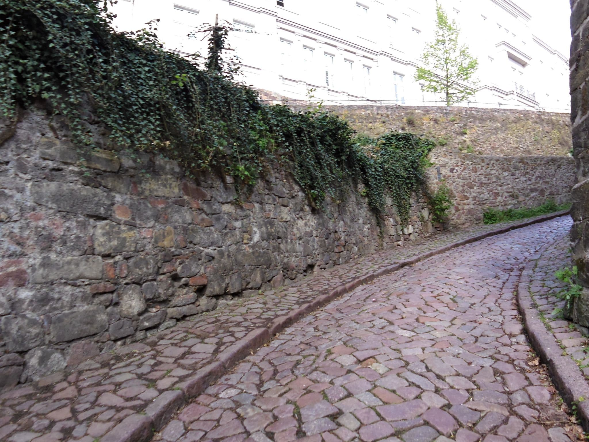 Street view near Domblick an der Freiheit, Meissen — © zoegglmeyr (CC BY-SA · Mapillary)