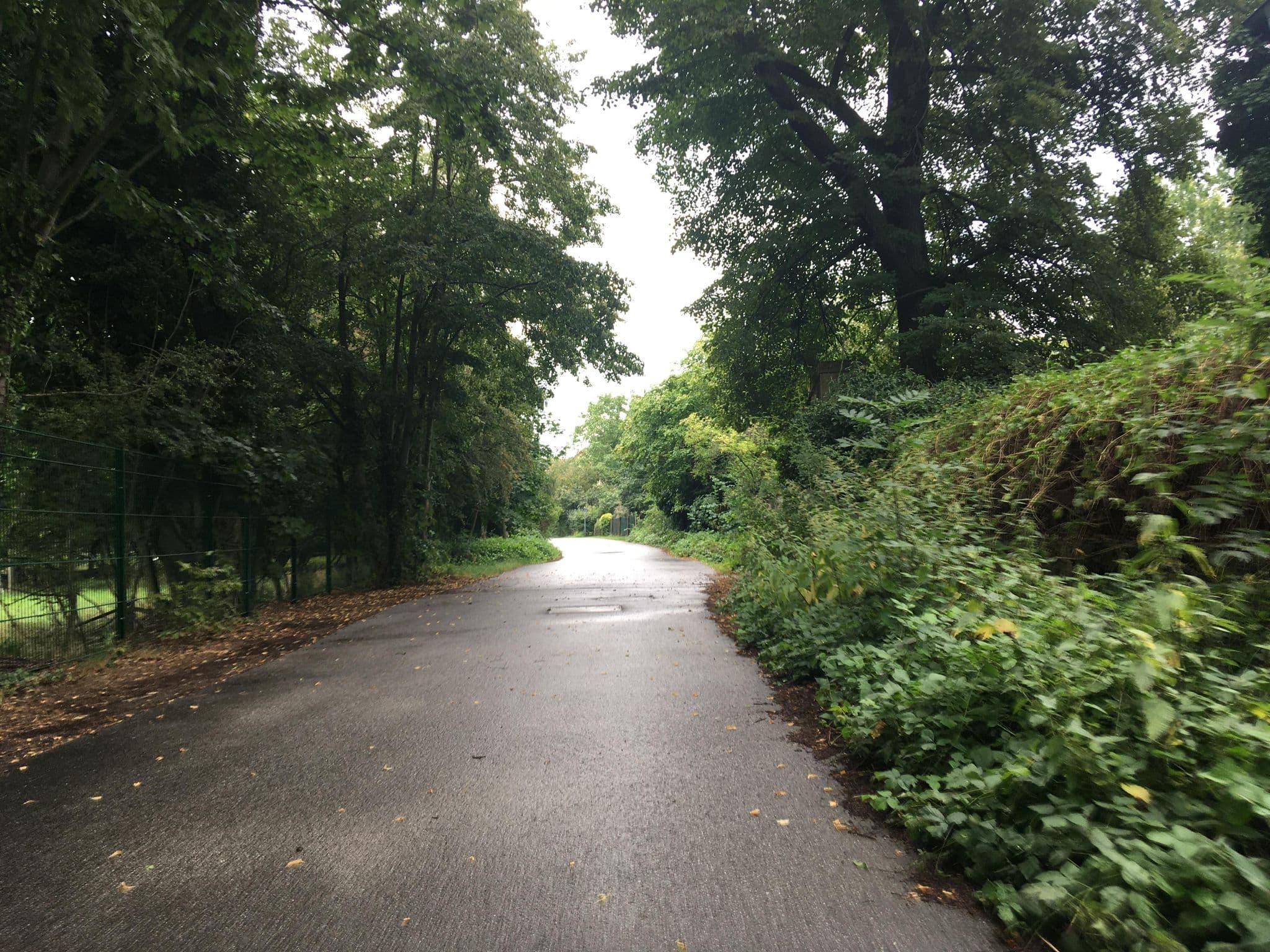 Street view near Plantagengut Hosterwitz, Pillnitz — © eserte (CC BY-SA · Mapillary)