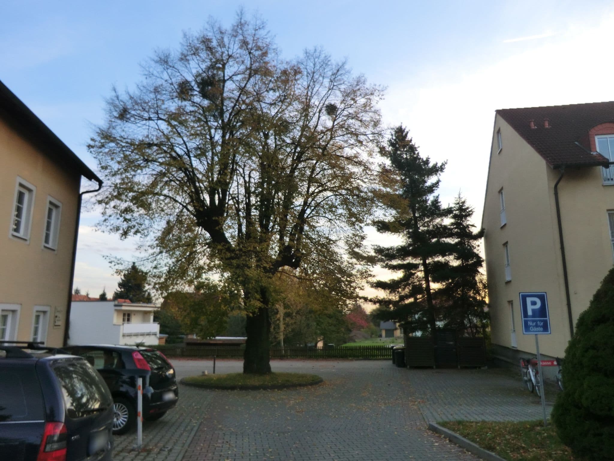 Street view near Nordic Hotel Dresden, Loschwitz — © ubahnverleih (CC BY-SA · Mapillary)