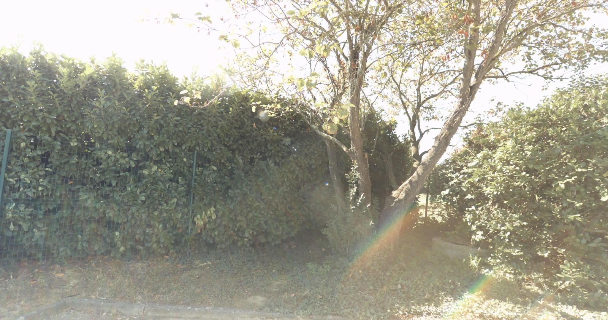 Street view near Première Classe, L'Union — © sogefi (CC BY-SA · Mapillary)