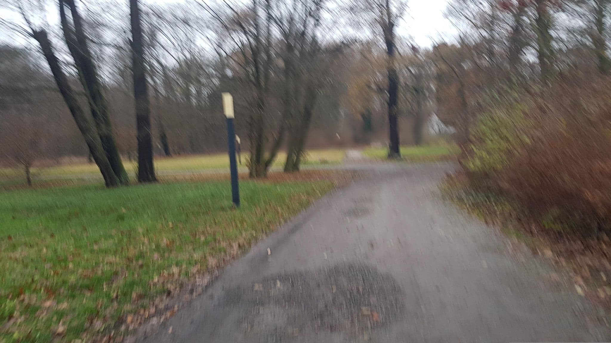Street view near Schlossparkhotel Sallgast, Sallgast — © dsmm (CC BY-SA · Mapillary)
