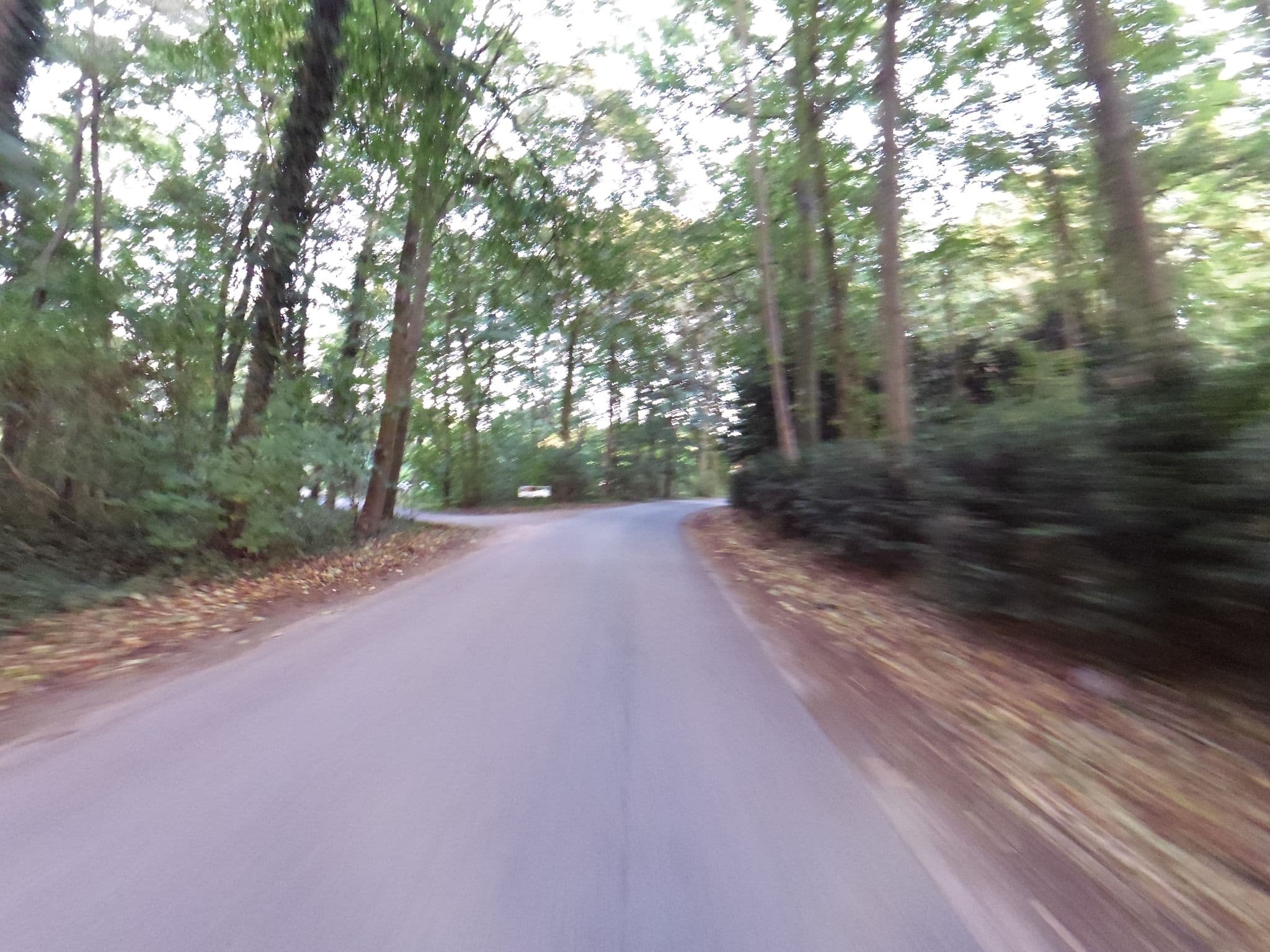 Street view near Grünort Bed & Breakfast, Emmerich — © wimmel (CC BY-SA · Mapillary)