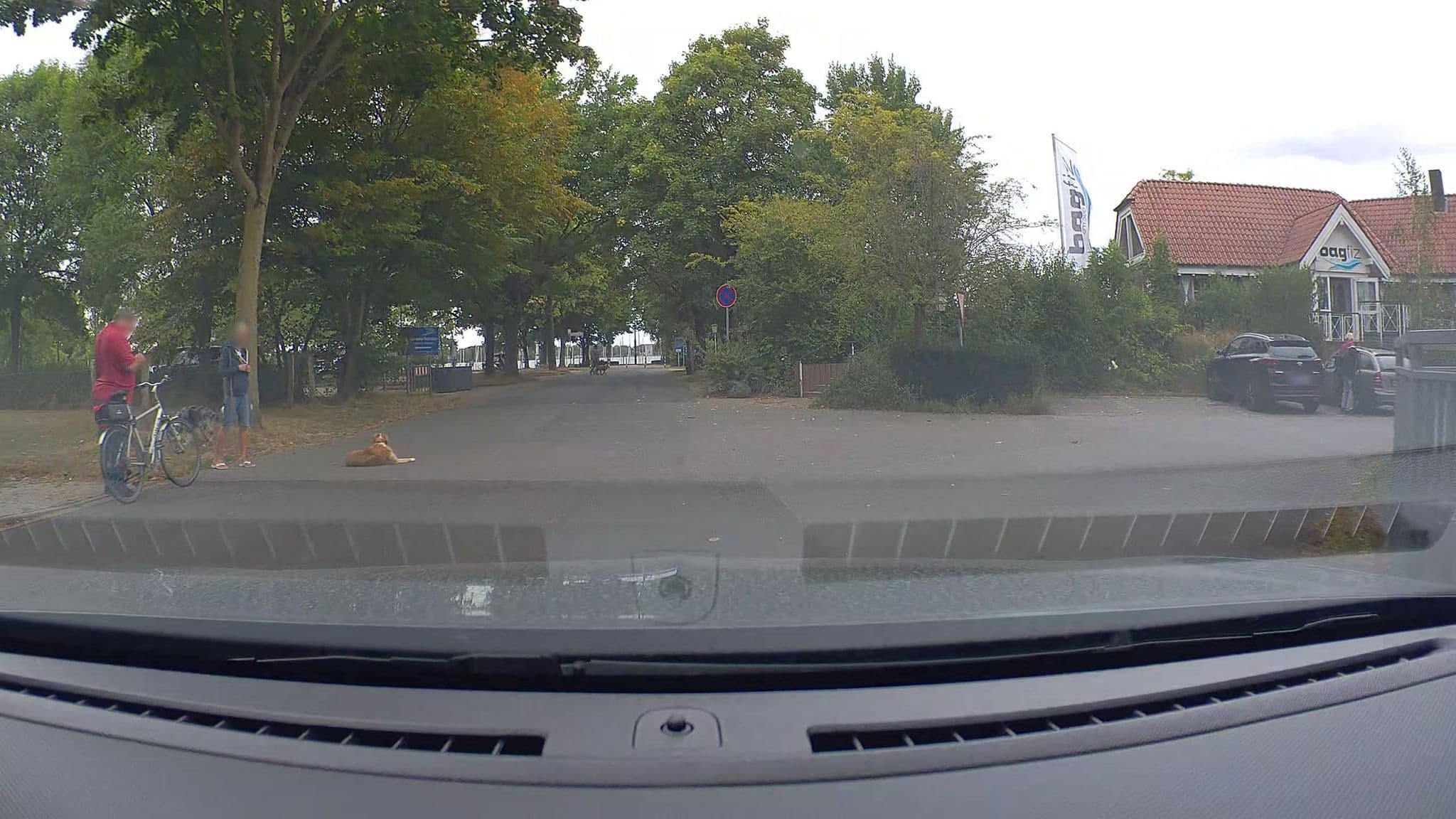 Street view near Landhaus an der Xantener Nordsee, Xanten — © poxonline (CC BY-SA · Mapillary)