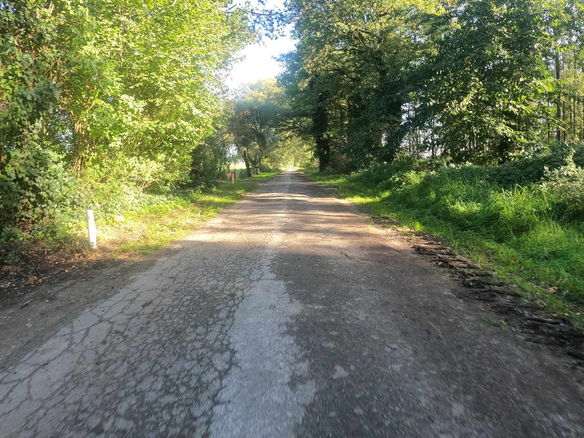 Street view near Paus, Pension Inh. Herrnann Beatrice, Dingden — © gisberti (CC BY-SA · Mapillary)
