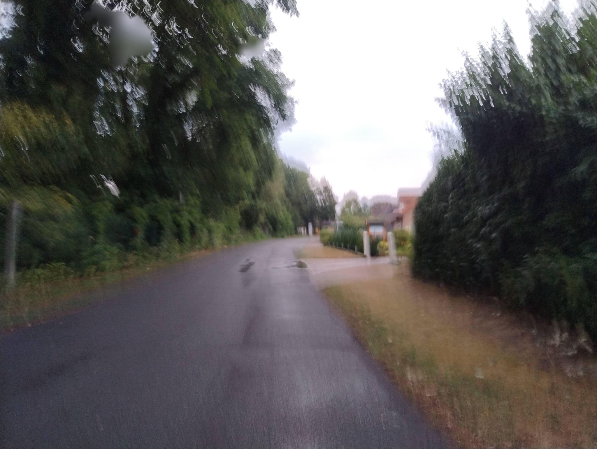 Street view near Willi Rumker, Hörstel — © polyglot (CC BY-SA · Mapillary)