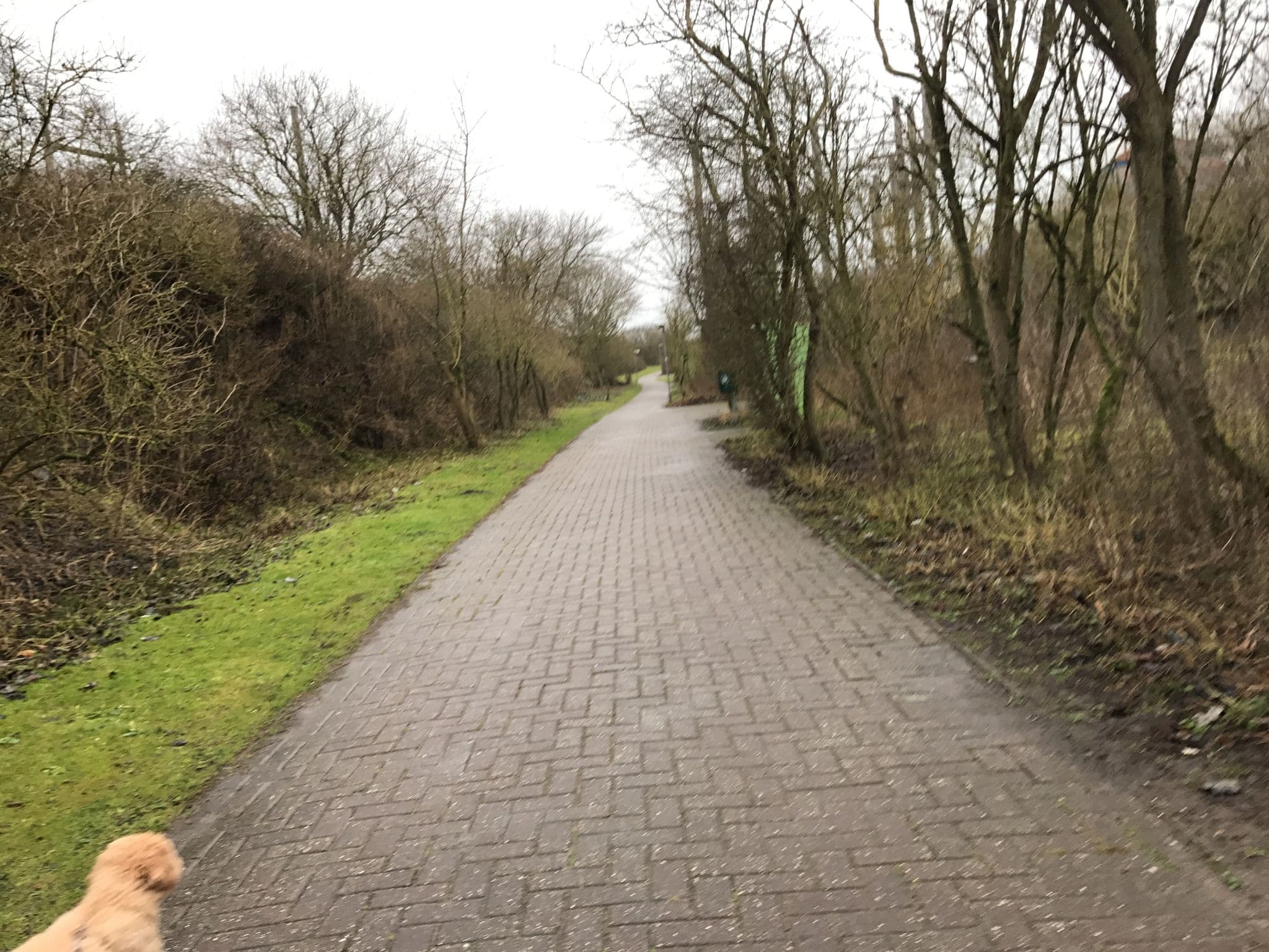 Street view near Ferienwohnung Dr. Demuth, Borkum — © miguel_andrade (CC BY-SA · Mapillary)
