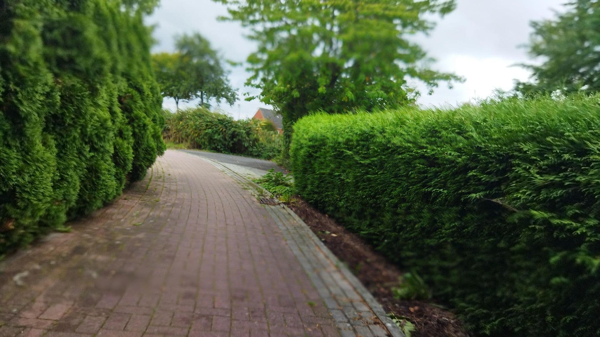 Street view near Appartement Lila, Greetsiel — © changchun1 (CC BY-SA · Mapillary)