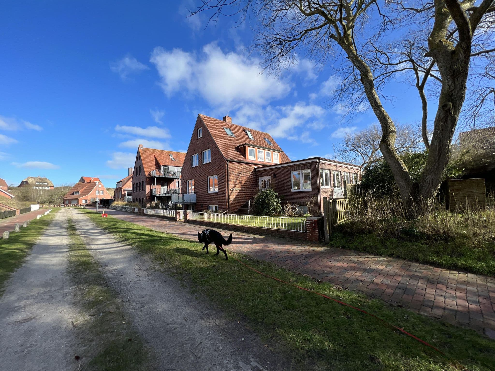 Street view near Friedel Palma Hotels, Juist — © pyyjac (CC BY-SA · Mapillary)
