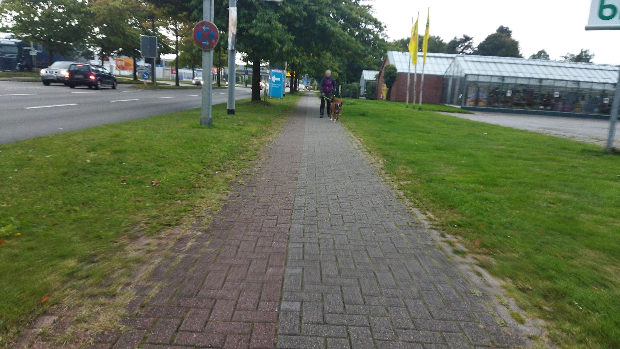 Street view near Hus Seemöwe, Hinte — © changchun1 (CC BY-SA · Mapillary)