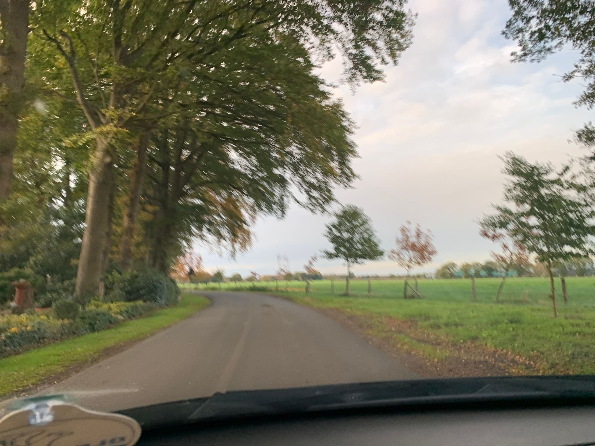 Street view near Hof Mollberg, Wiefelstede — © deleted_user (CC BY-SA · Mapillary)