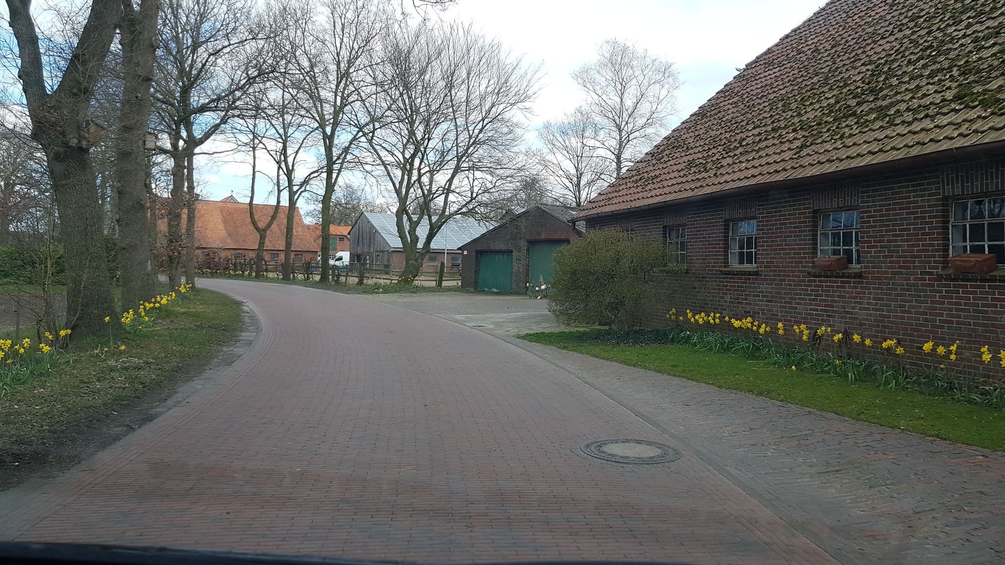 Street view near Ferienhof Oltmer, Edewecht — © artus70 (CC BY-SA · Mapillary)