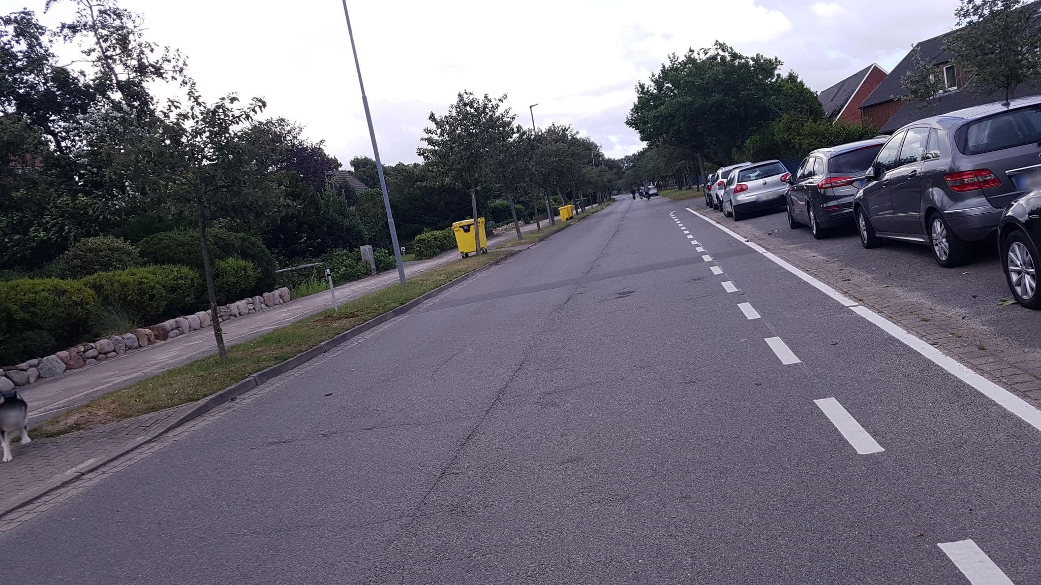 Street view near EV. Jugenderholungsdorf St. Peter-Ording, Sankt Peter-Ording — © dsmm (CC BY-SA · Mapillary)