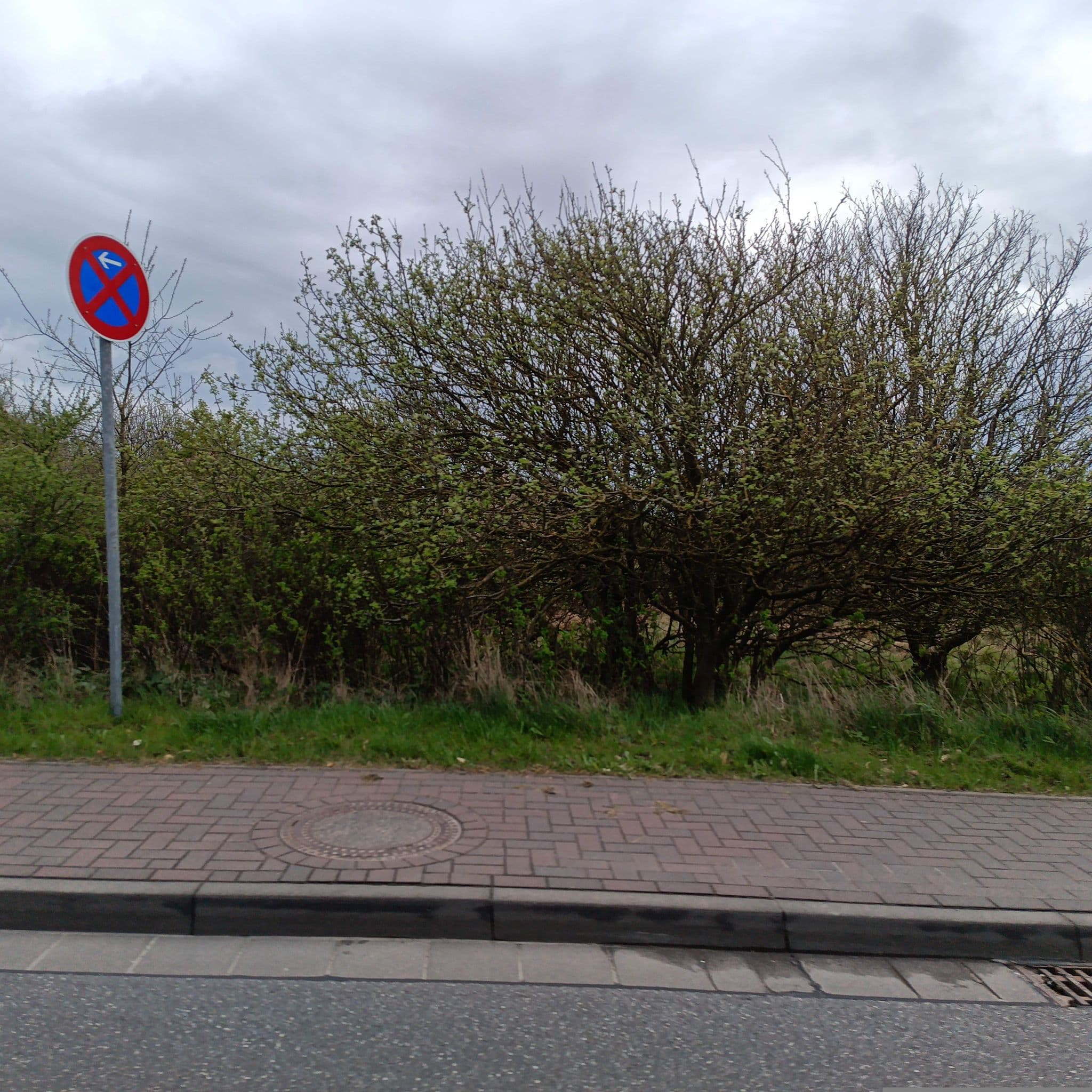 Street view near Reethüs Köchy-Winter Ferienwohnungen, Westerland — © Herrcules (CC BY-SA · Mapillary)
