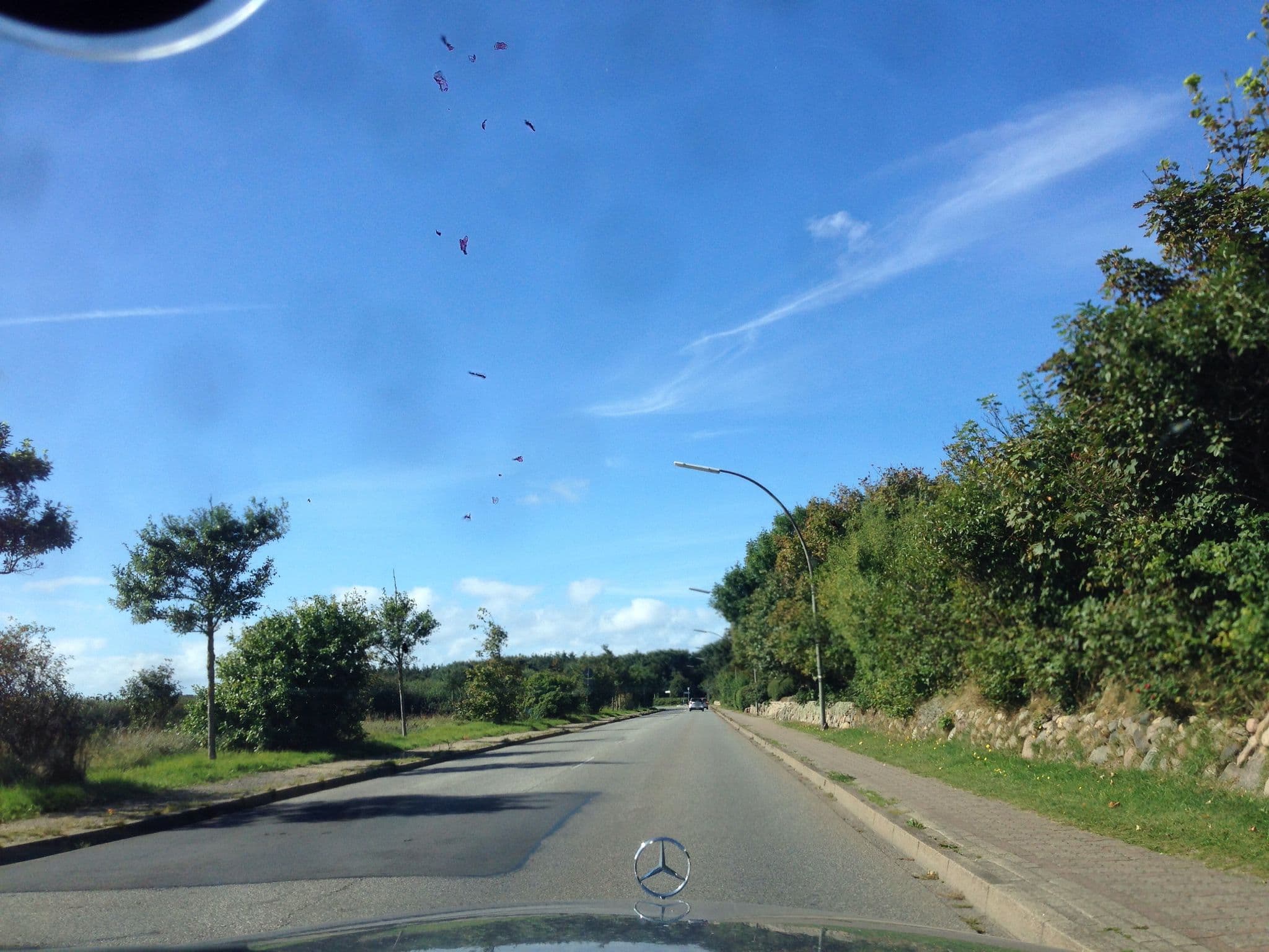 Street view near Haus Elvi Fuchs an den alten Salzwiesen, Westerland — © mjay (CC BY-SA · Mapillary)