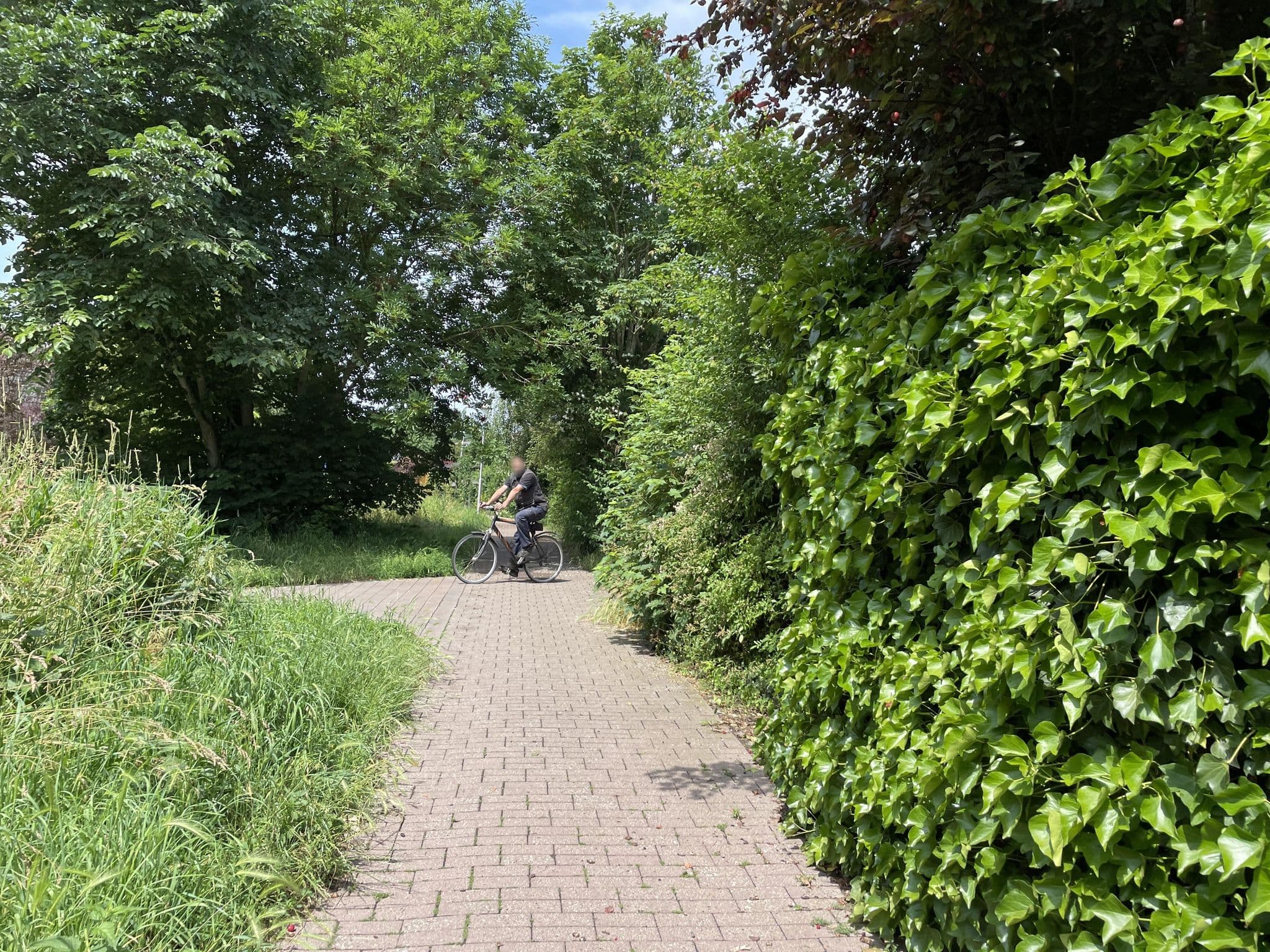 Street view near Hus Pia, Cuxhaven — © buschjost (CC BY-SA · Mapillary)