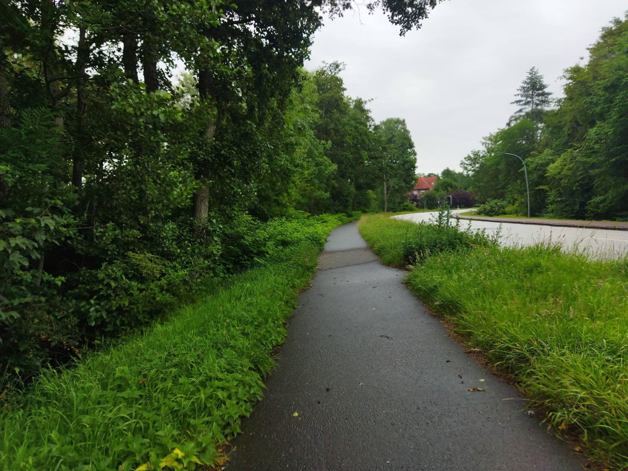 Street view near DHH der kleine Knutt, Tating — © changchun1 (CC BY-SA · Mapillary)