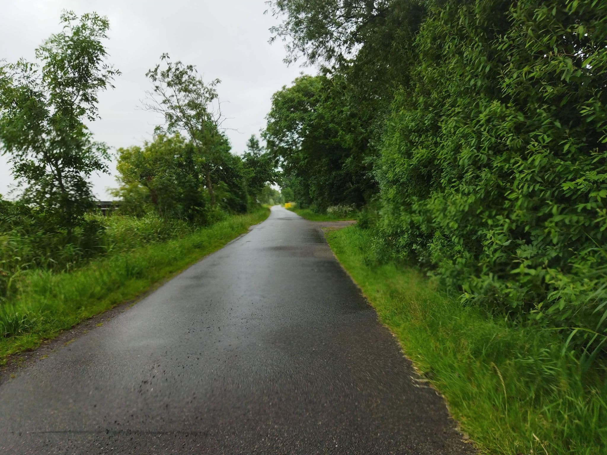 Street view near Ferienwohnung-auf-dem-Land, Garding — © changchun1 (CC BY-SA · Mapillary)