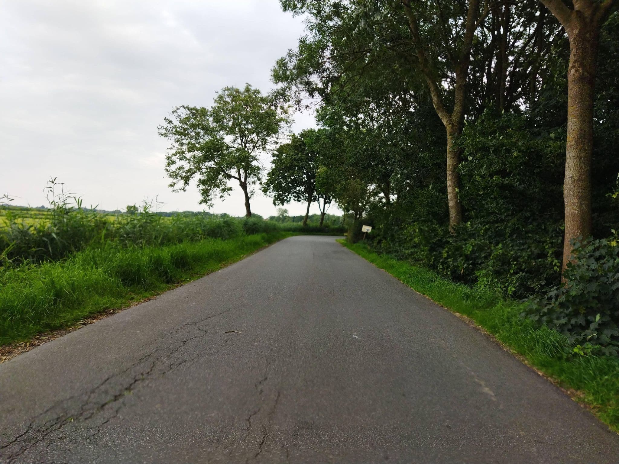 Street view near Ferienhof Moorgroden, Butjadingen — © changchun1 (CC BY-SA · Mapillary)